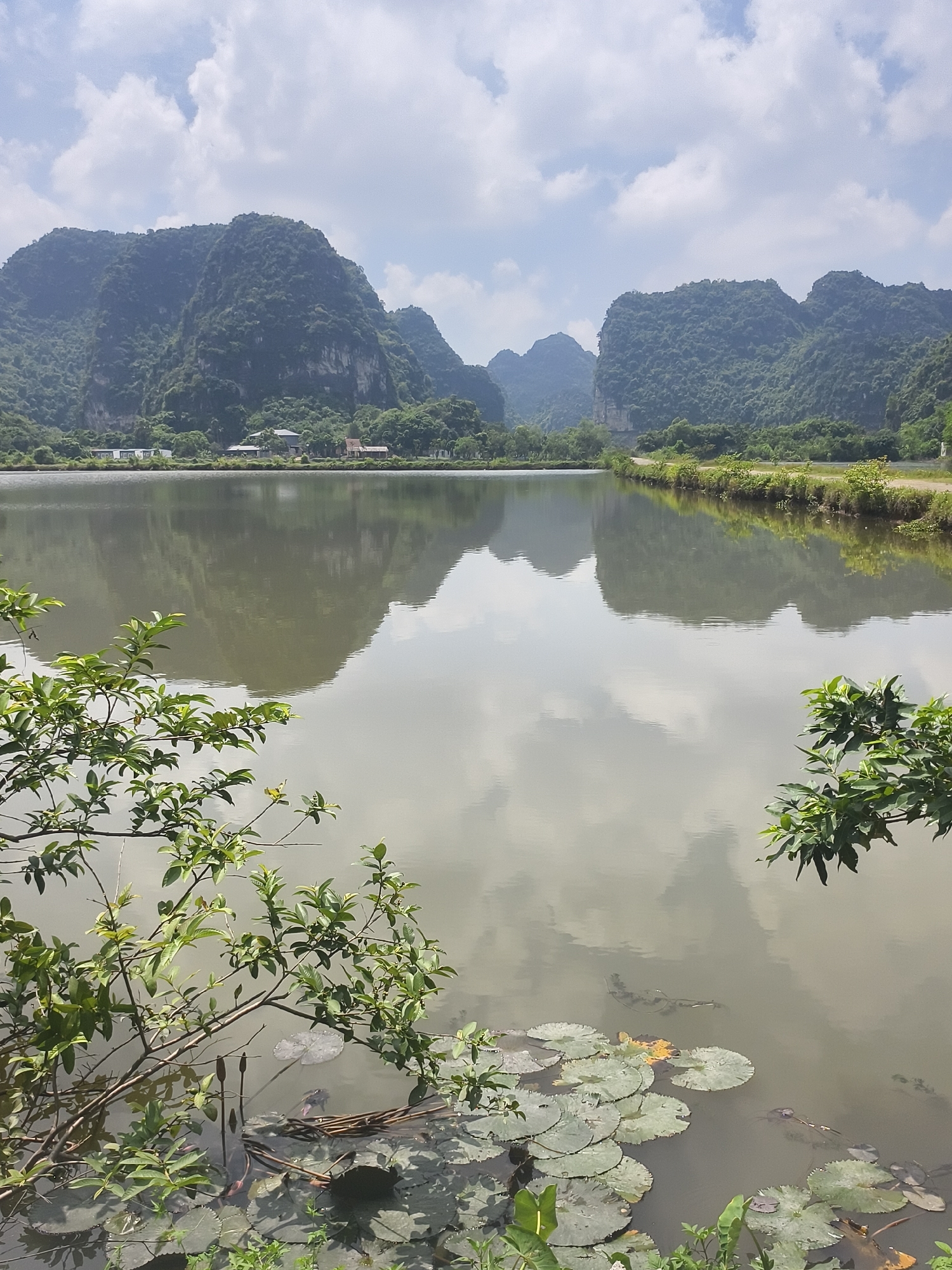 The image shows a tranquil lake in Hoa Lư Ward, Vietnam, framed by lush green mountains. The calm water reflects the cloudy sky and the surrounding karst formations, creating a mirror-like effect. In the foreground, lily pads float on the surface of the water, with some lily buds also visible. Green branches and leaves extend into the frame from the left and right, adding to the natural beauty of the scene. A dirt road runs along the right bank of the lake, with sparse vegetation lining its edge. In the distance, nestled at the base of the mountains, are a few buildings, suggesting a small settlement. The overall atmosphere is peaceful and serene, characteristic of the Vietnamese countryside.