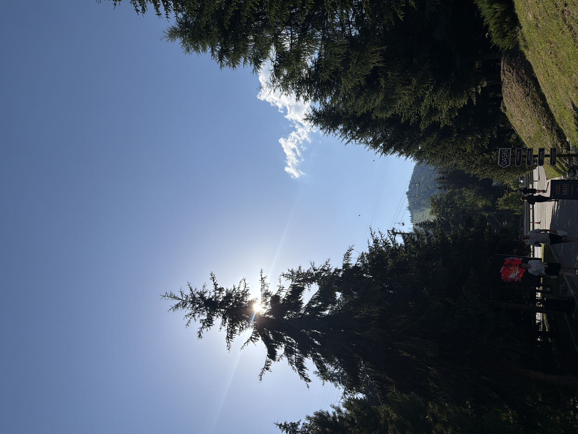 The image depicts a sunny day in Polianytsia, Ukraine, characterized by a clear blue sky and the presence of tall evergreen trees. The sun is partially obscured by a large evergreen tree in the foreground, creating a lens flare effect. In the background, a ski lift ascends a forested mountain slope, suggesting a location within a resort area. A few people are visible walking on a paved path. One person is holding a red balloon. A signpost with directional arrows, including one pointing to "OASIS," is situated on the right side of the path. The overall scene conveys a peaceful, outdoor environment with natural and recreational elements.