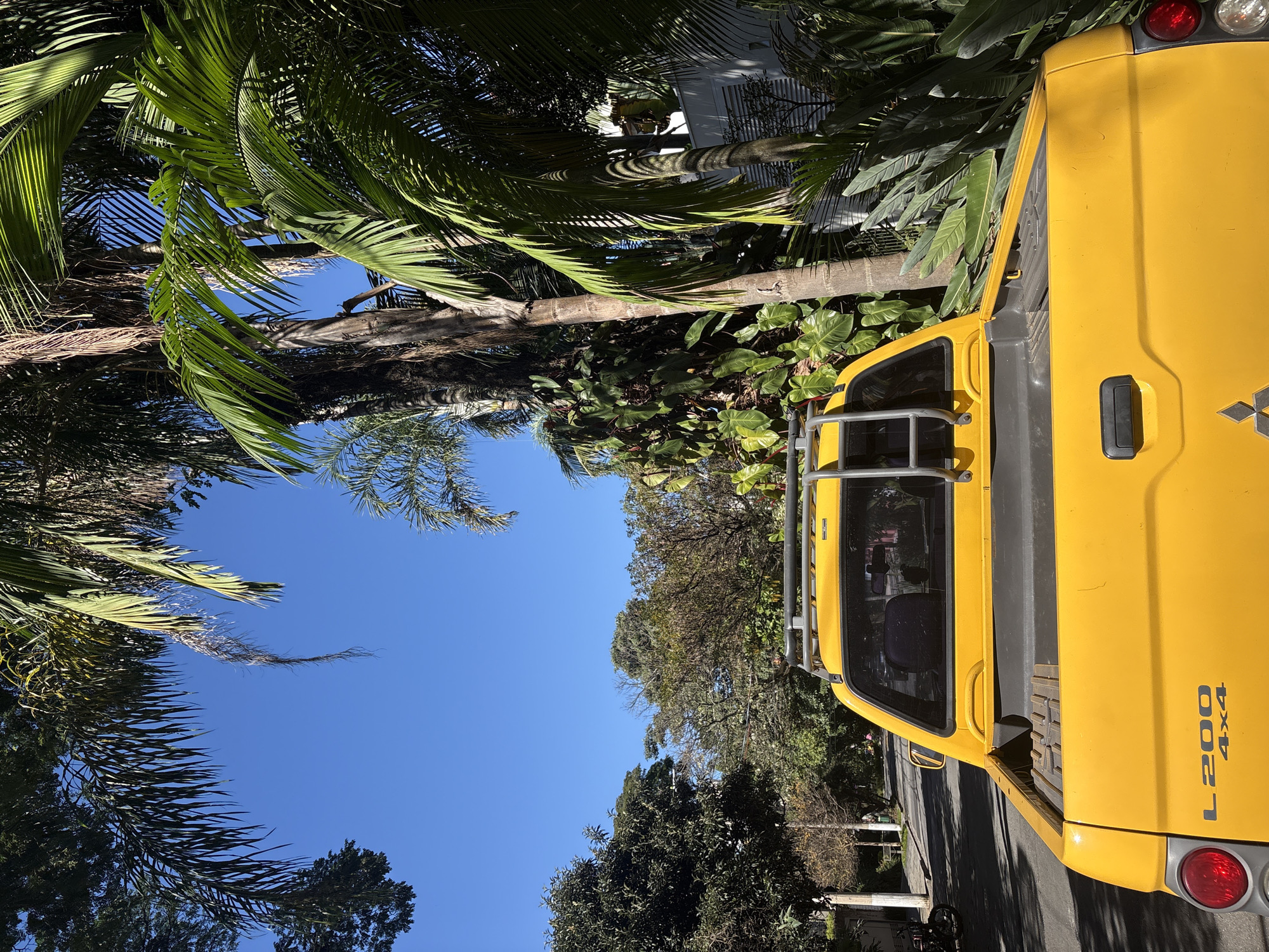 The image shows the rear-view of a bright yellow Mitsubishi L200 4x4 pickup truck parked on a tree-lined street in a residential neighborhood, likely in São Paulo, Brazil, given the presence of tropical vegetation. The truck is parked on the right side of the road, with its bed empty. A metal rack is installed on top of the truck's cab, with a ladder attachment. Large palm trees and dense, leafy plants frame the scene, with the blue sky visible above. The street appears paved and is partially shaded by the trees. A white building is partially visible to the right of the truck, behind the foliage. The overall atmosphere is that of a sunny day in a lush, urban environment.