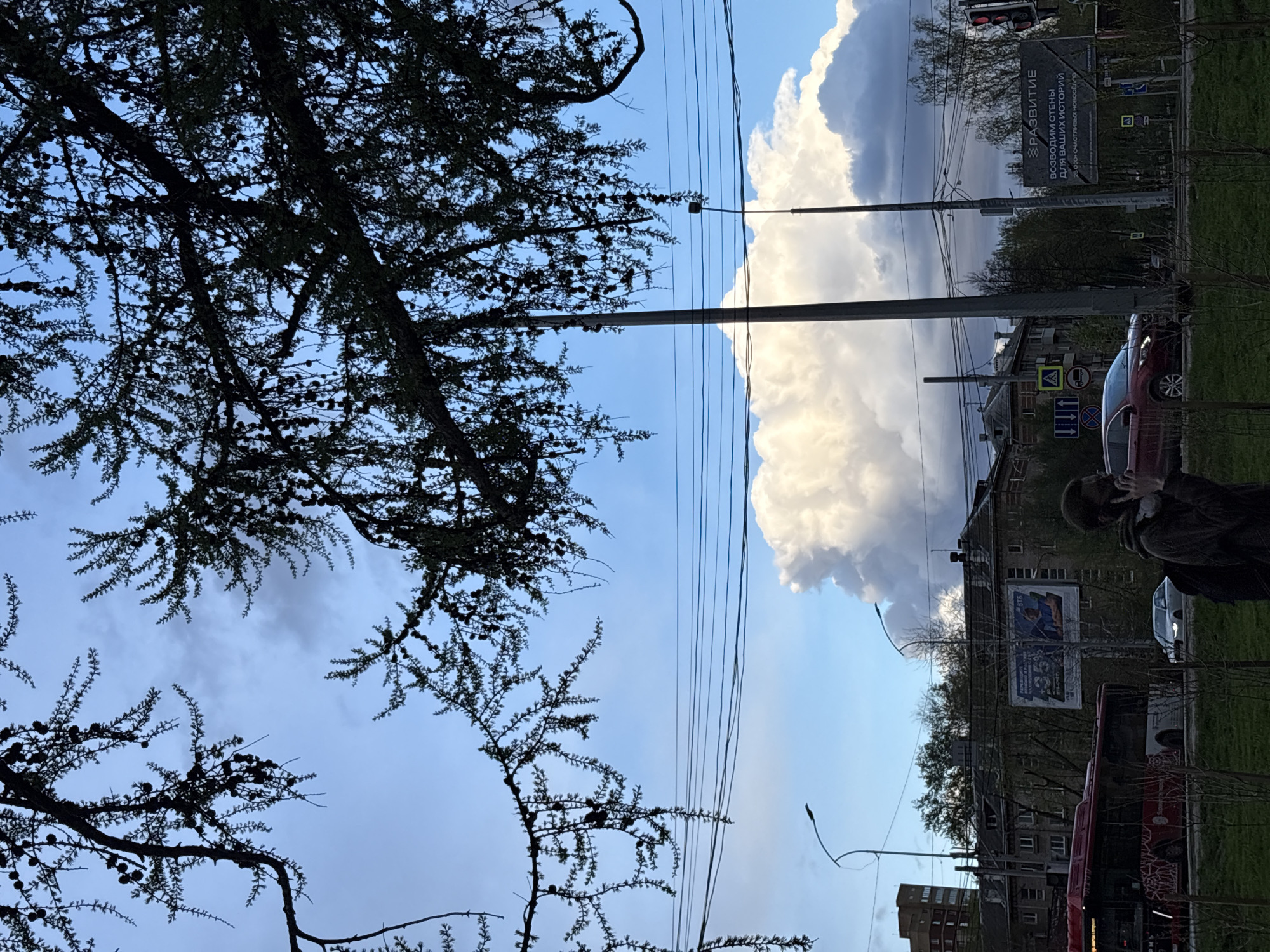 The image shows a street scene in Perm, Russia. In the foreground, there is a tree with dark branches and cones against a blue sky with scattered clouds. Utility poles and power lines are visible. In the background, there are buildings, trees, cars, and a bus. A large, billowing white cloud dominates the sky. There is also a sign with Russian text. A person is partially visible on the right side of the image.