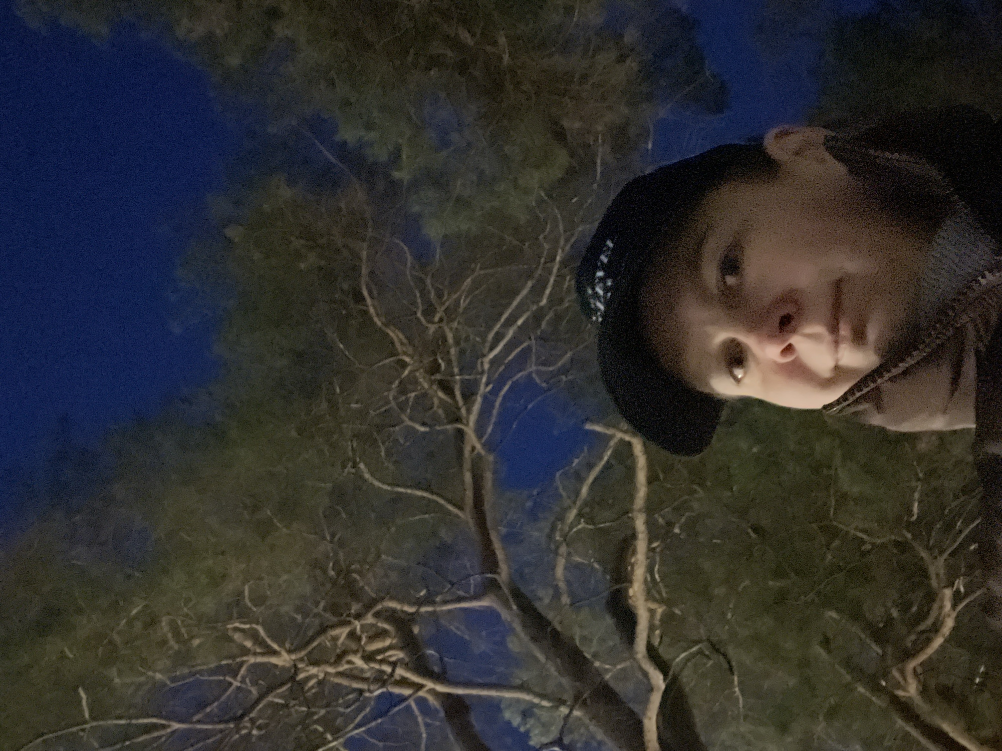 An individual, appearing to be an adult, is depicted in a selfie-style, low-light portrait. The subject, positioned in the lower center of the frame, wears a dark baseball cap with a light-colored emblem, a dark jacket, and a dark, textured scarf or collar covering the lower part of the face. The individual's face is partially illuminated, showing light-colored eyes directed slightly upwards and forward. The background consists of a dense canopy of trees with prominent dark branches and some discernible green foliage, silhouetted against a deep, dark blue sky, indicating nighttime or late twilight conditions. Artificial lighting highlights the subject and parts of the tree branches. The scene is outdoors in the city of Chaikovsky, Russia.