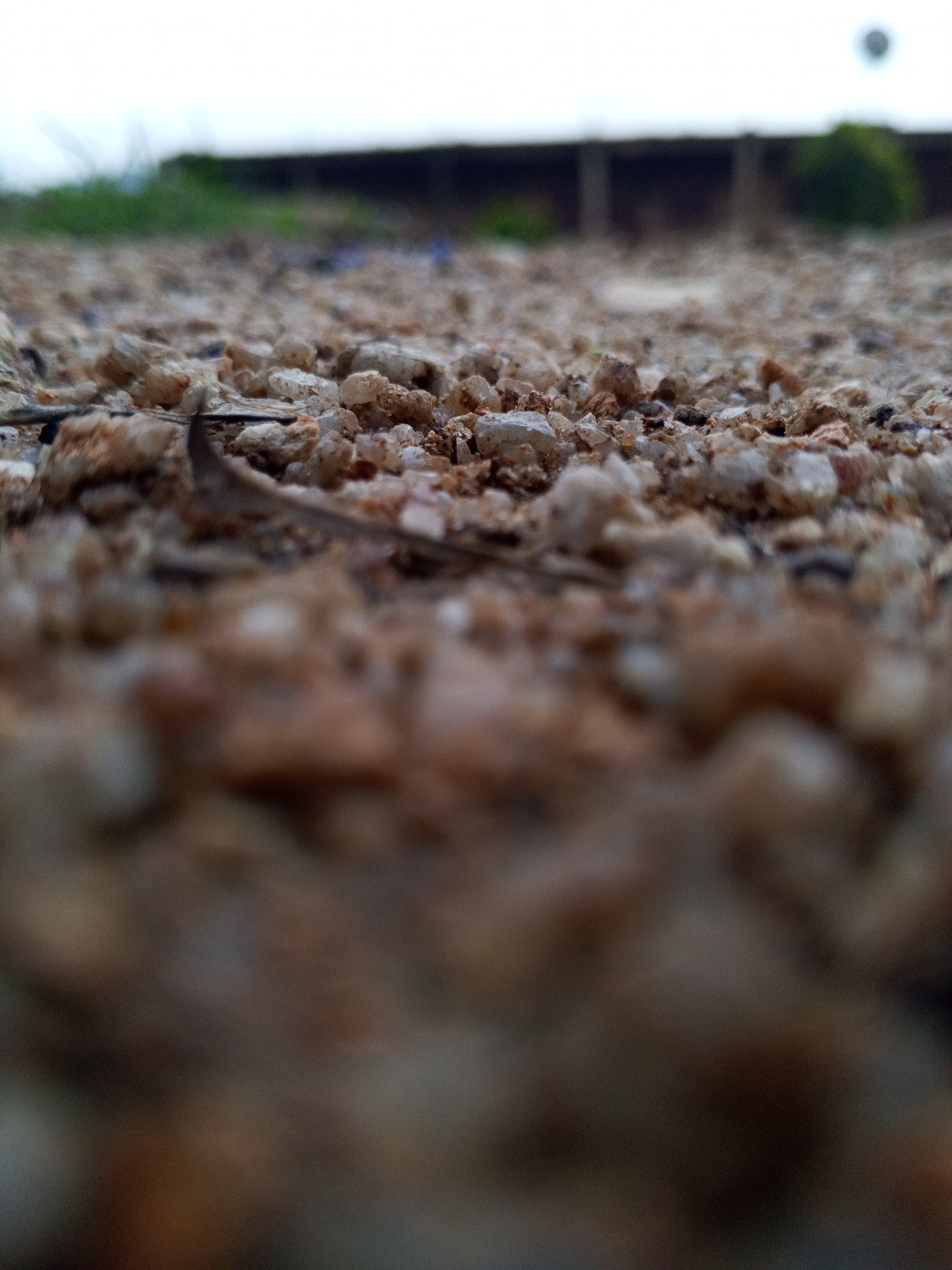 The image presents a low-angle shot of a gravelly ground surface. The foreground is dominated by small, light-colored stones and pebbles, some with a reddish-brown hue, creating a textured and uneven surface. A thin, dark, and dry plant stem or twig lies horizontally across the stones in the mid-foreground, adding a linear element.
In the background, the scene transitions to a blurred horizontal band. This band consists of a dark, elongated structure that appears to be a wall or embankment, possibly with some visible vertical supports or openings. Beyond this structure, there is a hint of green foliage, suggesting vegetation. The sky above is a pale, overcast white, indicating a cloudy or hazy day. A small, dark, circular smudge is visible in the upper right corner of the image, which could be a lens artifact or a distant object.
The overall impression is of an outdoor, possibly undeveloped or rural, location in Jos, Nigeria. The lighting suggests it could be daytime, likely not bright sunlight due to the overcast sky. There are no people or animals visible. The focus is entirely on the texture of the ground and the elements in the immediate surroundings. The composition emphasizes the granular nature of the terrain, drawing the viewer's eye from the sharply defined pebbles in the foreground to the softly blurred background. No text is visible in the image.