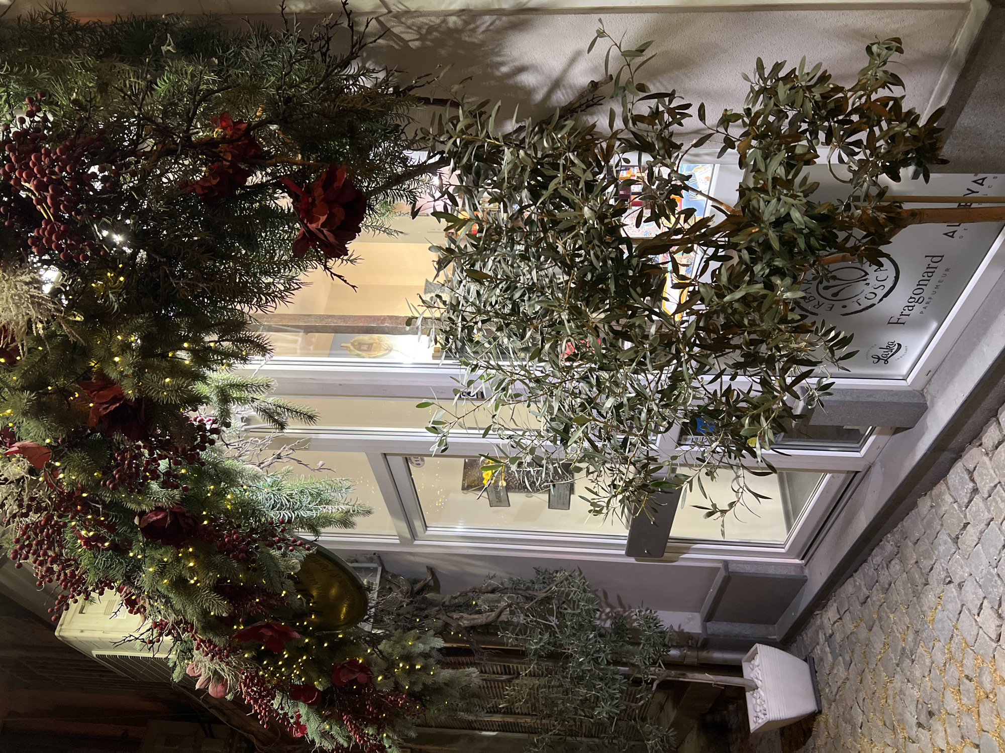 The image depicts an upward view of a storefront window in Plovdiv, Bulgaria, heavily decorated for the holiday season. On the left, a garland of evergreen boughs adorned with red flowers, berries, and small lights frames the window. To the right, branches of an olive tree add to the festive atmosphere. The window itself displays signage for "Fragonard Parfumeur". The building's facade is constructed of textured, possibly cobblestone or brick material, visible at the right edge of the image. The lighting is dim, suggesting nighttime.