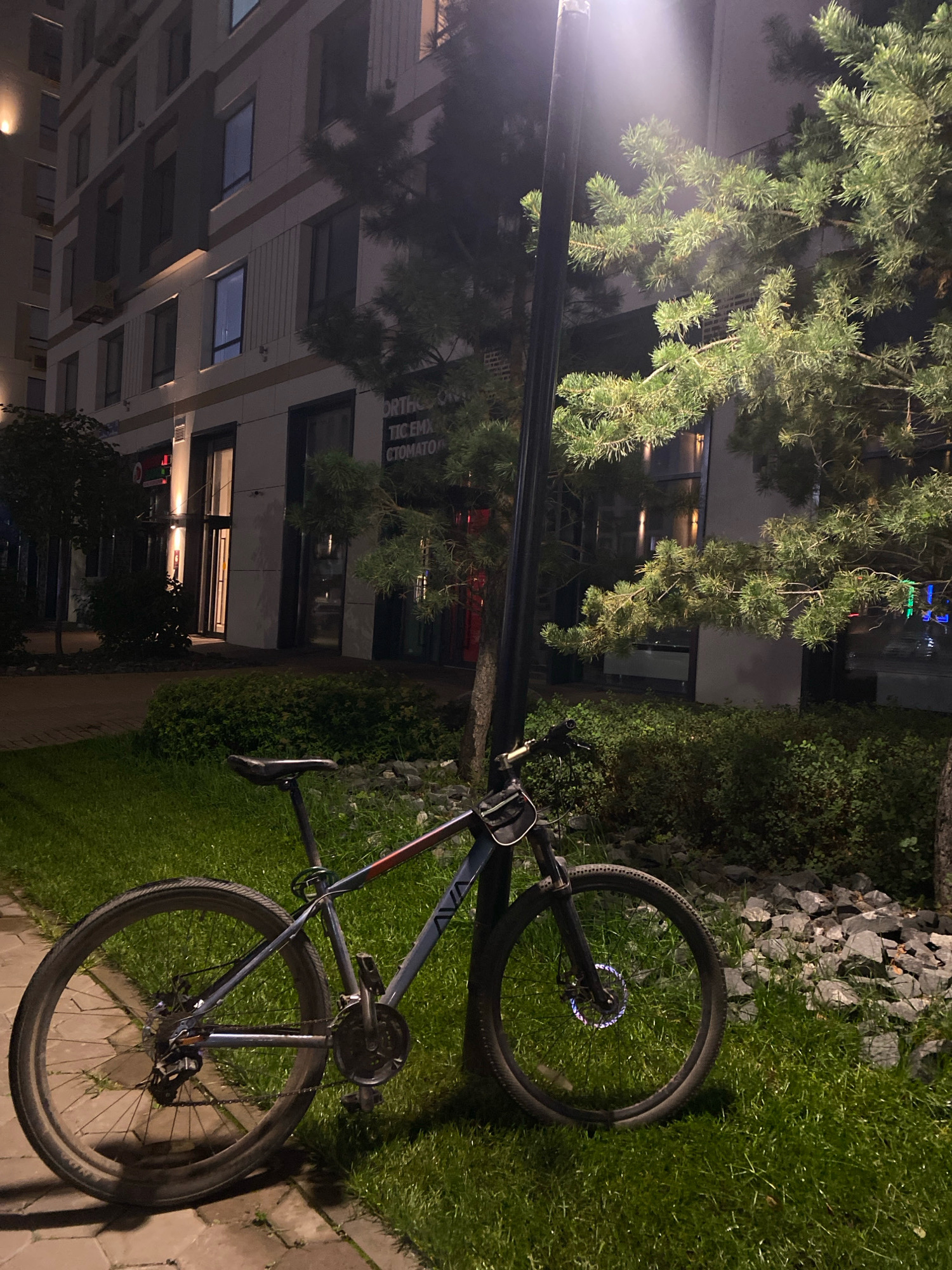 A bicycle is parked on a grassy area next to a lamppost and a building. The bicycle is a hybrid model, primarily gray with red accents on the frame. It has a black seat and handlebars, with a small black bag attached to the handlebars. The bicycle is leaning against the lamppost. The background shows a modern multi-story building with illuminated windows. There are trees and bushes around the bicycle. The scene appears to be at night, with artificial light from the lamppost illuminating the immediate area. The location is identified as Astana, Kazakhstan.
