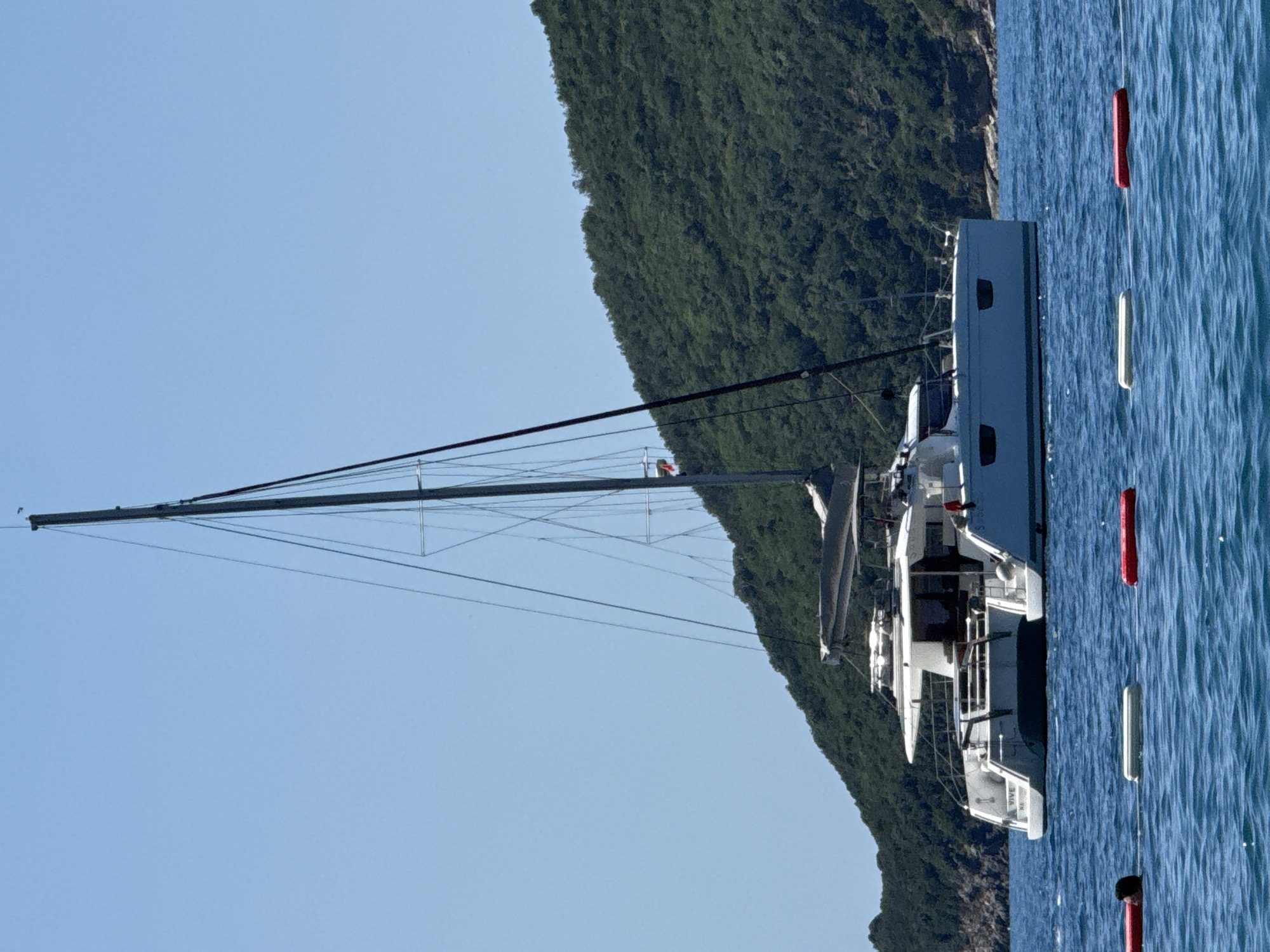 The scene depicts a large, white sailing catamaran anchored in clear, blue water under a bright, cloudless sky, set in Budva, Montenegro. The catamaran features two hulls and a prominent dark mast with multiple rigging lines extending upwards. A black boom, likely housing a furled sail, is visible above the main cabin structure. A small red flag or pennant is present on the mast's upper section. The stern of the vessel, with its twin transoms, steps descending to the water, and an aft deck with railings and seating, is clearly visible. Partial text on the left hull reads "VIVE KA," and "Saba" is discernible on the right hull.
In the foreground, a series of elongated, cylindrical buoys float on the water's surface, colored alternately red and light grey/white, appearing to be connected by a submerged line. To the left of the leftmost red buoy, a dark-skinned individual's head and upper back are visible above the water, facing away from the viewer, suggesting they are swimming or floating.
The background is dominated by a densely forested green hill or mountain, slanting upwards from the water on the right and extending across the mid-ground. Rocky sections of the coastline are visible at the base of the hill. The water exhibits gentle ripples, indicating calm conditions.
