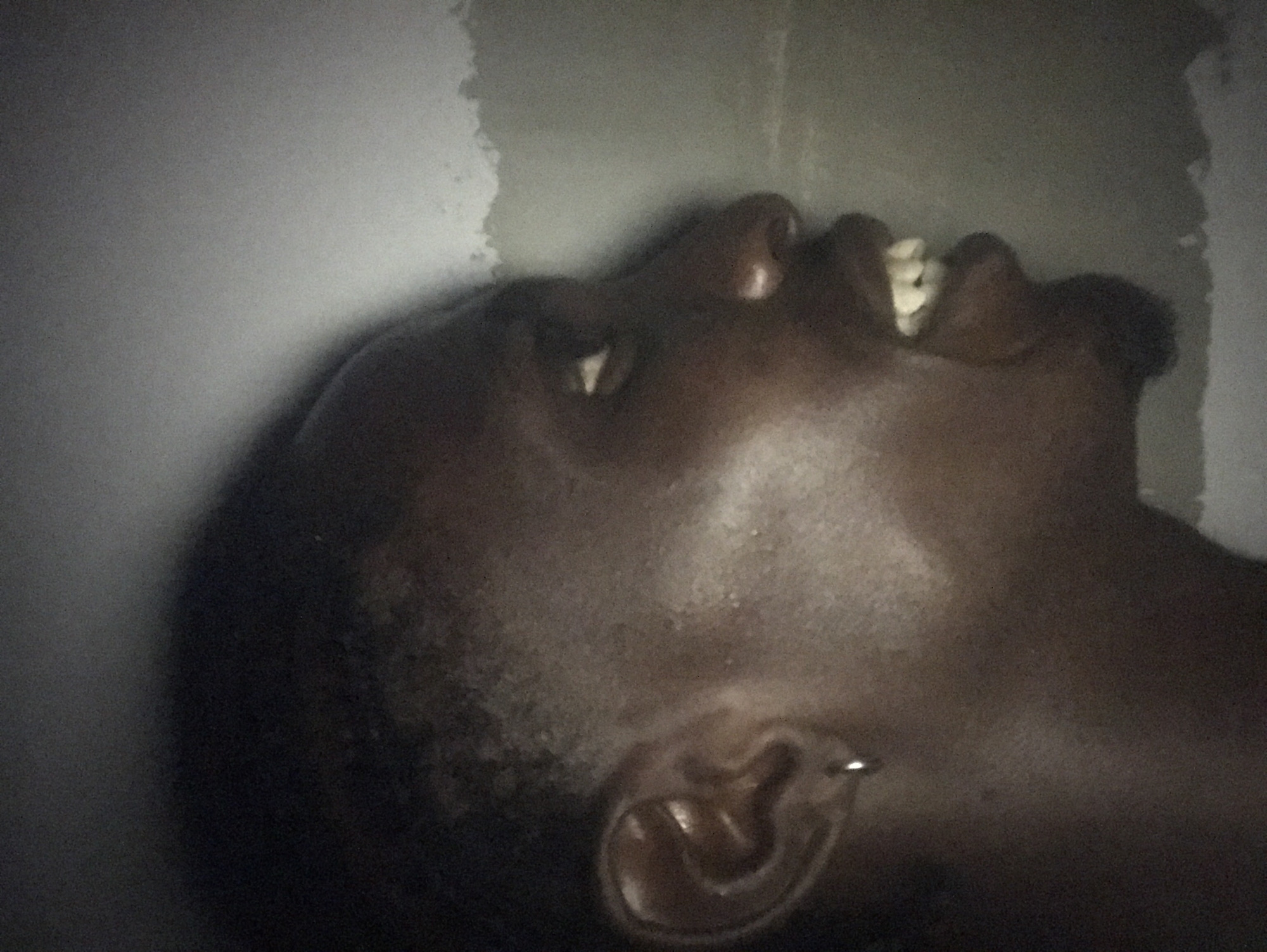 The image presents a close-up, side profile of a person with dark skin, positioned with their head tilted backward and looking upwards. The left side of their face, including the ear with a small, metallic earring, is visible. Their mouth is slightly ajar, revealing a row of light-colored teeth. The lighting is dim, casting soft shadows across the person's features and creating a subdued atmosphere. The background appears to be a plain, light grey wall or surface, possibly textured, with some darker patches indicating shadows or variations in the material. The person's gaze seems contemplative or relaxed as they look upwards. No specific activity beyond this pose is discernible. The scene appears to be indoors, likely in low light conditions, possibly at night or in a dimly lit room. There is no visible text.
