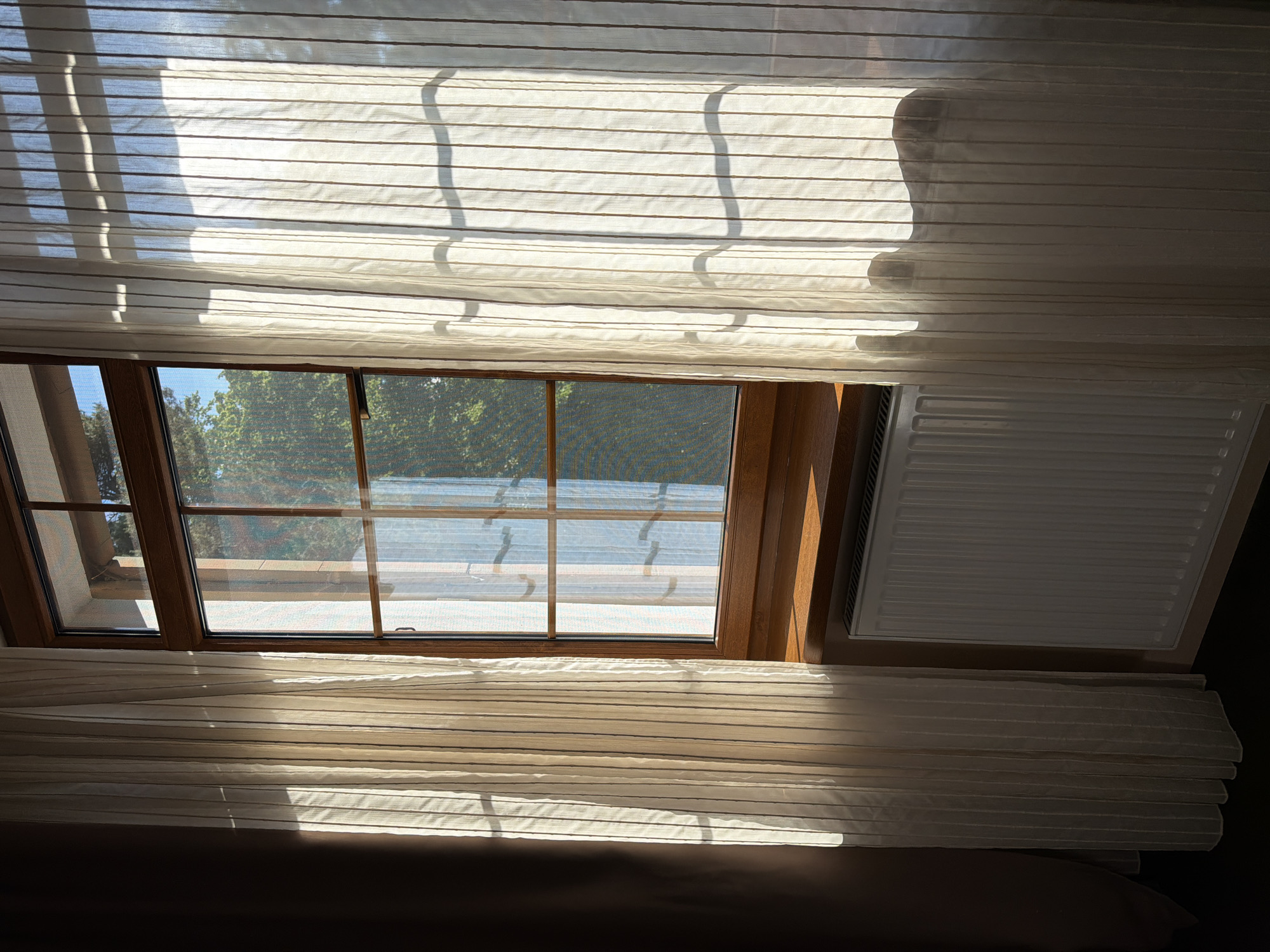 The image depicts the interior of a room in Svetlogorsk, Russia, focusing on a window with sunlight streaming through sheer curtains. The window has a wooden frame and is divided into several panes by dark mullions. Outside the window, lush green trees and a clear blue sky are visible. A white radiator is situated beneath the windowsill, and to the left, a dark brown curtain partially obscures the view. The sheer curtains on the right are white with vertical stripes and cast shadows from the window panes and possibly an object outside. The sunlight creates bright highlights on the curtains and the windowsill.