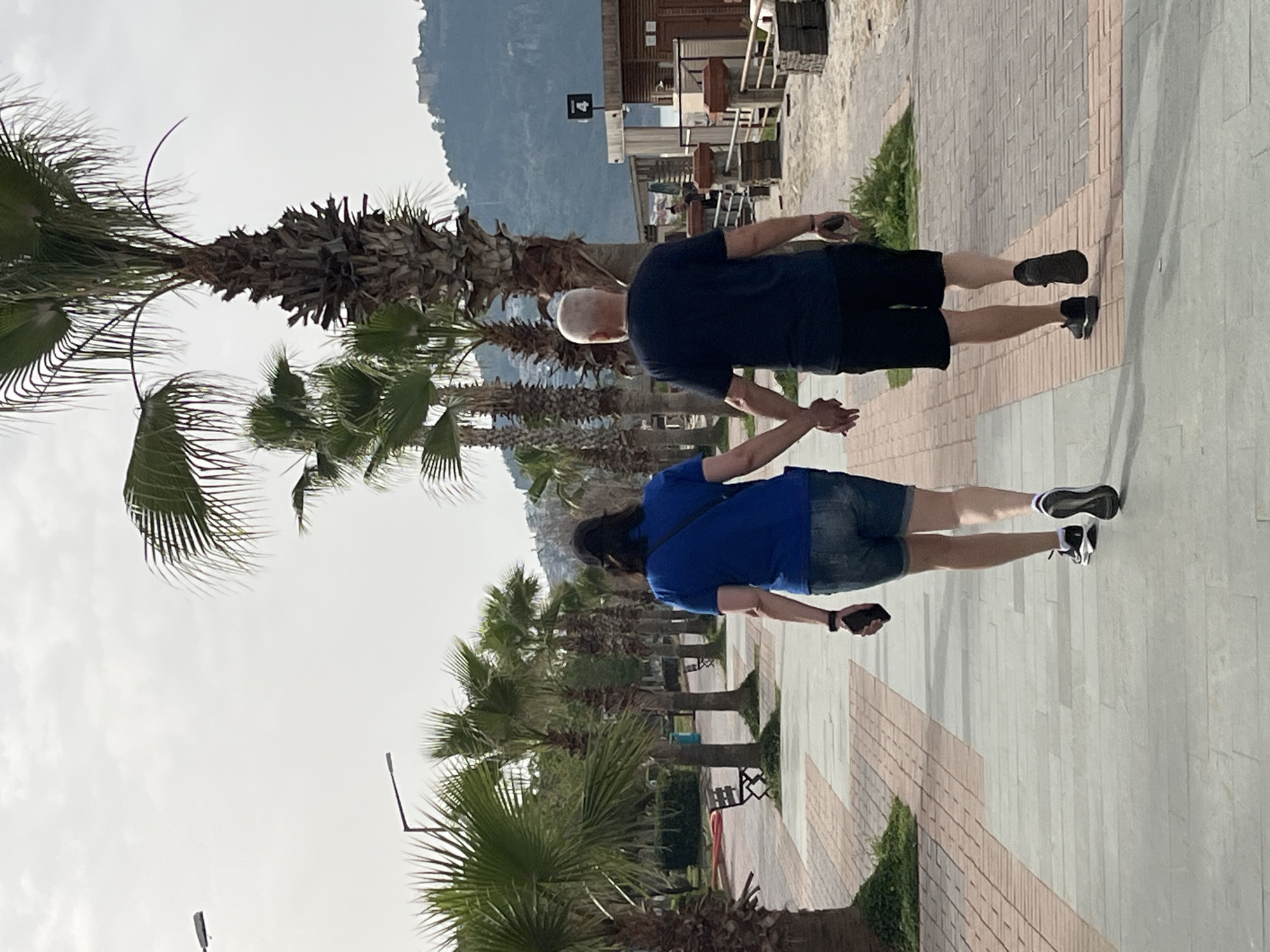 An eye-level medium shot depicts an adult couple walking and holding hands along a brick and concrete tiled pedestrian walkway lined with palm trees. The couple is viewed from the back; the man wears a dark blue shirt and dark shorts, while the woman wears a bright blue shirt and denim shorts. Both are holding dark-colored mobile phones in their free hands. In the background is a building, possibly a restaurant or shop, and a mountain range. The location is likely in Alanya, Turkey, suggested by the palm trees and mountainous backdrop. Benches and some greenery are interspersed among the palm trees along the walkway. The sky is overcast.