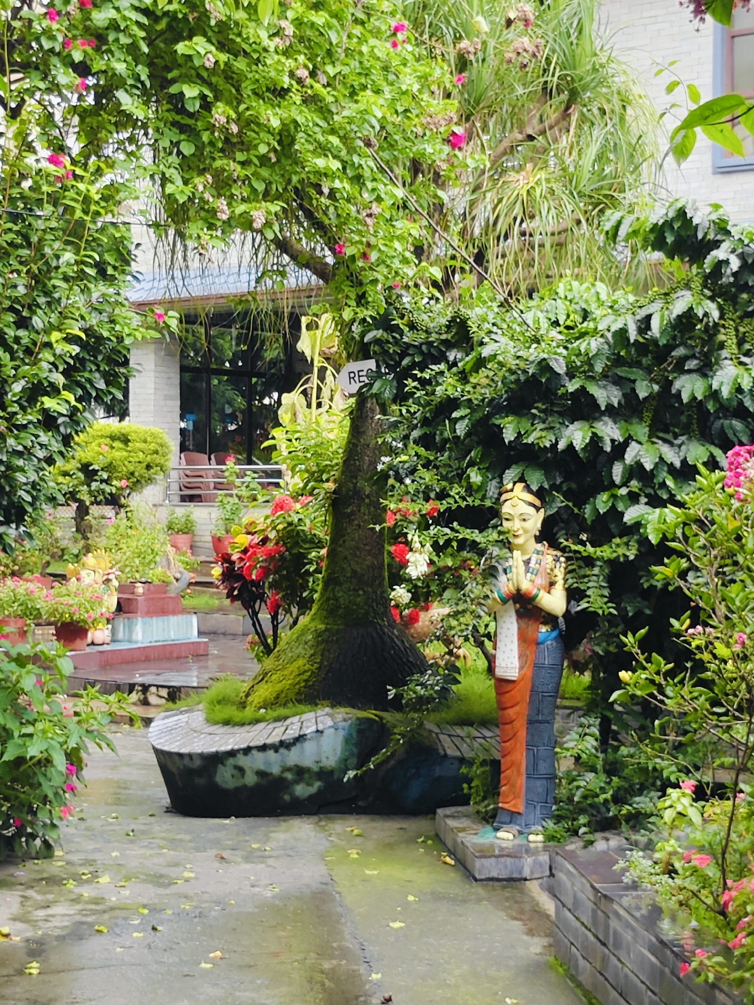 The image depicts a tranquil garden scene, likely in Pokhara, Nepal, with lush greenery, colorful flowers, and a prominent statue of a woman in traditional attire. The statue stands with her hands pressed together in a gesture of greeting, adorned in a vibrant orange and blue sari with intricate jewelry. Behind her, a dense wall of coffee plants or similar foliage creates a natural backdrop. In the foreground, a unique, moss-covered tree stump serves as a decorative element, with a curved stone seating area around its base. The ground is paved with concrete, showing signs of being wet, with scattered yellow leaves. To the left, a building with a light-colored brick facade and a blue-tiled roof is visible, suggesting it might be a hotel or guesthouse. Chairs are arranged on a porch area visible through a glass-enclosed entrance. The overall atmosphere is serene and inviting, hinting at a peaceful retreat in the natural beauty of Pokhara.