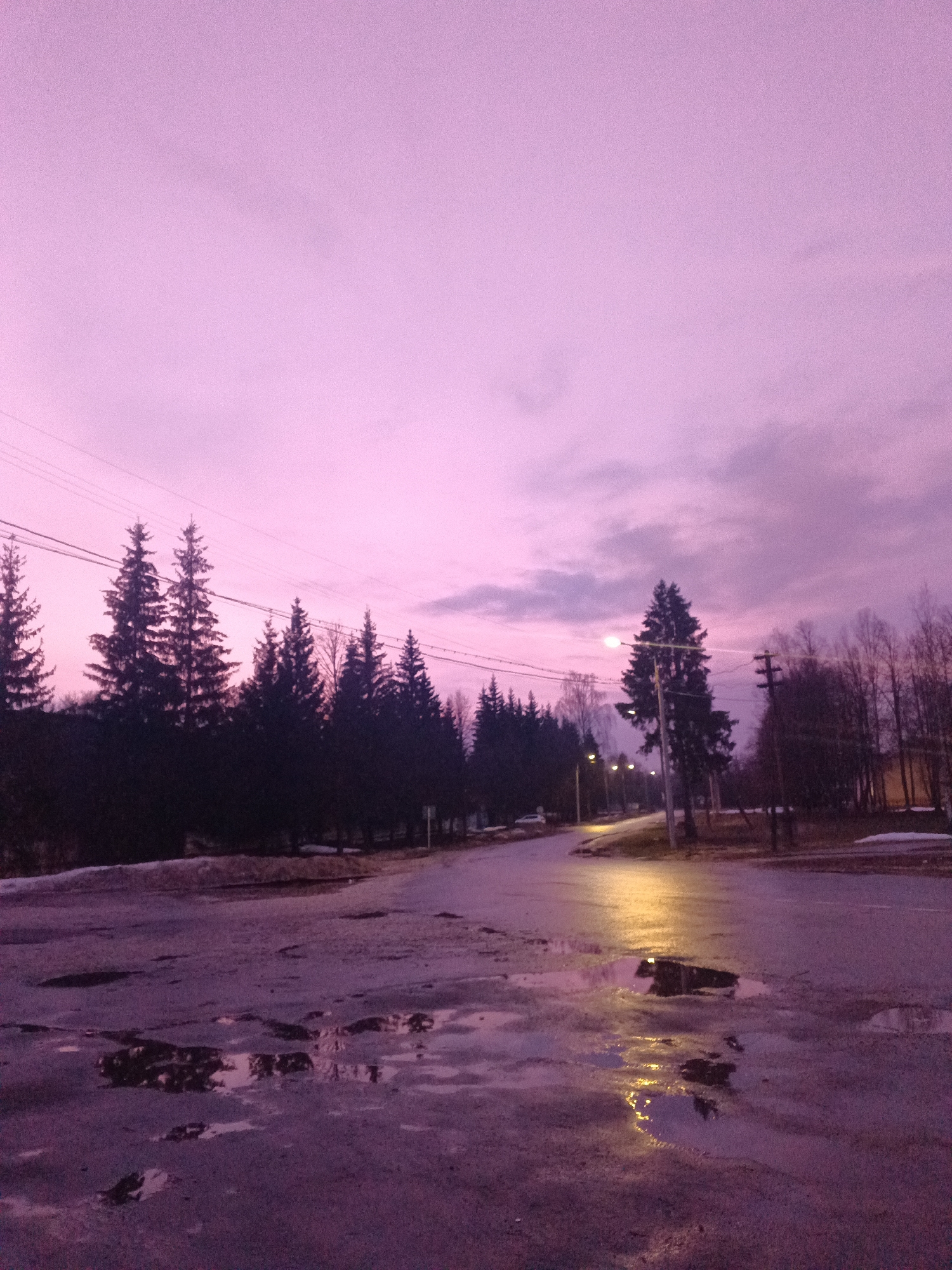 The image depicts a street scene in the city of Красный Маяк, Russia, at dusk or dawn. The sky is a prominent shade of pink. The road is wet, with numerous puddles reflecting the artificial light sources down the street. Along the left side of the road, there is a line of coniferous trees. There are utility poles and wires visible above the trees. On the right side of the road, there are deciduous trees, some without leaves, and buildings in the distance. Patches of snow are present along the roadside. The image suggests a tranquil, possibly rural or suburban part of the city. No people are visible.