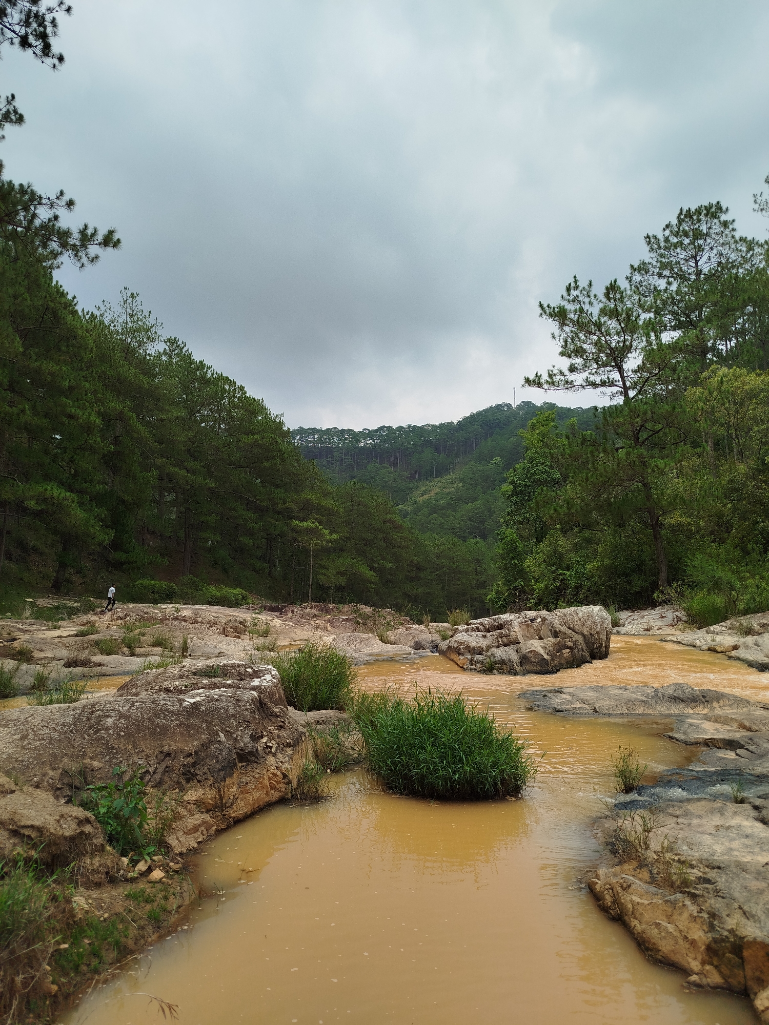 A natural landscape unfolds with a wide view of a rocky riverbed flanked by dense pine forests under an overcast sky. The foreground features a muddy, orange-brown river flowing around large, rugged rocks and clumps of vibrant green grass. The water appears opaque, suggesting sediment or recent rainfall.
In the mid-ground, a lone individual, dressed in a white shirt and dark pants, is walking on the rocky terrain on the left bank of the river. Beyond the river and rocks, steep hills rise on both sides, entirely covered in a thick canopy of dark green pine trees, extending into the distance. The sky above is a uniform light gray, indicative of cloudy weather conditions.
The scene depicts a serene yet rugged natural environment. The time of day is daylight, under a muted, cloudy sky. The location is Păng Tiêng 1, Vietnam. No visible text is present in the image.