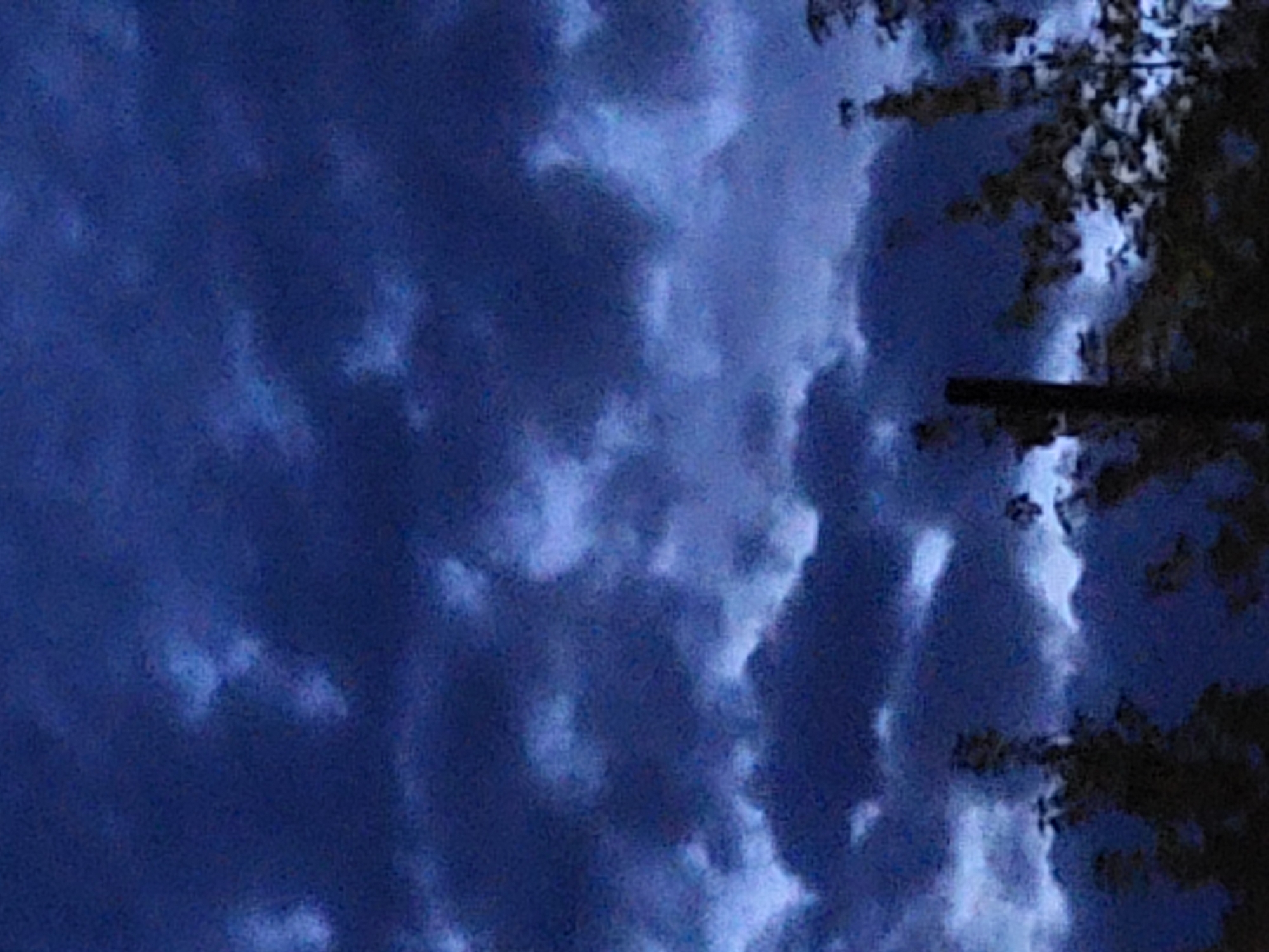 The image depicts a dark, cloudy sky with some lighter patches, suggesting it is twilight or nighttime. Silhouetted trees and foliage are visible at the bottom of the frame, indicating an outdoor, likely natural or semi-natural environment. A vertical post or thin tree trunk is also visible in the foreground, slightly left of center. The overall impression is one of subdued light and natural elements, with no urban structures or human activity clearly discernible. Without further information or context, it is not possible to determine the specific location in Jelgava, Latvia.