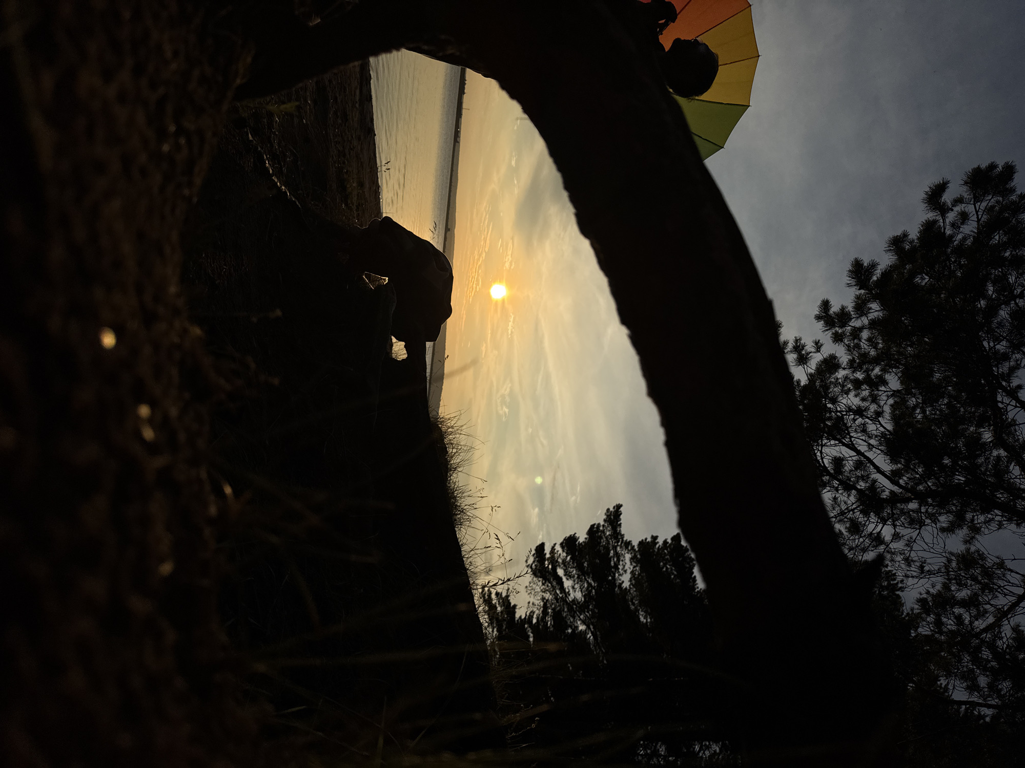 An outdoor scene at dusk captures a sunset over a body of water, possibly the Kama River, near Chaikovsky, Russia. In the foreground, silhouetted against the sky, is a person holding a colorful umbrella, possibly rainbow-colored. The silhouette of a tree branch frames the view on the left, with another tree silhouette on the right. The ground in the immediate foreground is dark and appears to be soil or sand, with some dried grass. The sun is a bright orange orb low on the horizon, casting a warm glow across the sky and water. Clouds are present in the sky, appearing as thin streaks. The water is calm, reflecting the colors of the sunset. The overall impression is one of a peaceful, natural setting.