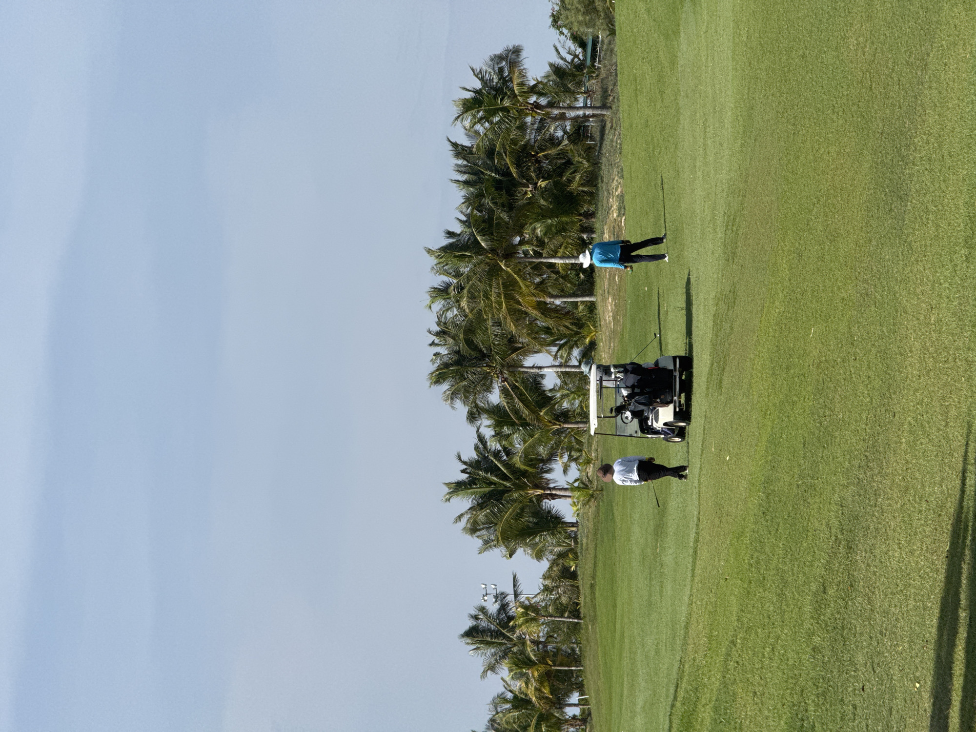 The image captures a sunny day on a golf course, possibly in Phú Thủy, Vietnam, given the abundance of palm trees lining the horizon. In the foreground, a well-maintained green lawn stretches out, with a golf cart parked on the right side of the frame. Two individuals are present on the course. On the left, a person wearing a white long-sleeved shirt and dark pants is walking away from the camera, holding a golf club. Further to the right, another person, dressed in a bright blue long-sleeved shirt and dark pants, stands facing away from the camera. The background is dominated by a dense line of lush green palm trees, their fronds swaying gently under a clear, pale blue sky. The overall scene evokes a sense of leisure and outdoor activity amidst a tropical landscape.