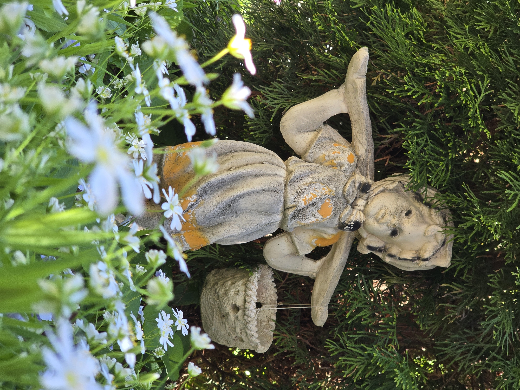 An outdoor, eye-level shot captures a weathered statue of a child-like figure, possibly a garden gnome, positioned horizontally amidst lush greenery and flowers. The statue, made of light-colored stone or concrete, shows remnants of faded orange and black paint on its clothing and facial features. It holds a textured, basket-like object.
In the foreground, numerous small, delicate white and light blue flowers, some blurred due to a shallow depth of field, partially obscure the statue, creating a soft, natural frame. Behind and surrounding the statue is a dense backdrop of vibrant green foliage, likely conifer branches.
The scene is well-lit by natural daylight, indicating a daytime setting. The lighting is bright but soft, suggesting it could be morning, late afternoon, or diffused sunlight. A hint of an orange-red brick or stone structure is visible in the background, suggesting a garden or outdoor patio environment. The overall mood is serene and natural. No text is visible in the image.