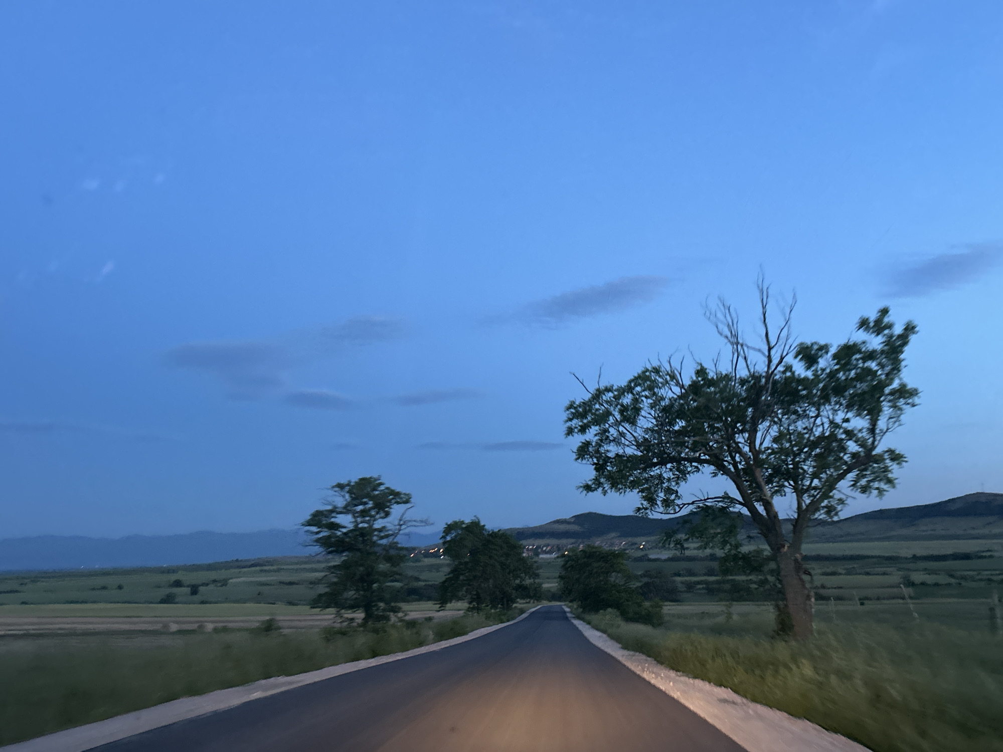 The image depicts a road near the city of Ovchepoltsi, Bulgaria, at dusk. The asphalt road leads into the distance between fields, flanked by trees on both sides. The sky is a gradient of blue, transitioning to a darker shade towards the horizon. In the background, there are hills and potentially a settlement with lights visible. A prominent tree with some bare branches stands on the right side of the road. The lighting suggests it is either early morning or late evening.