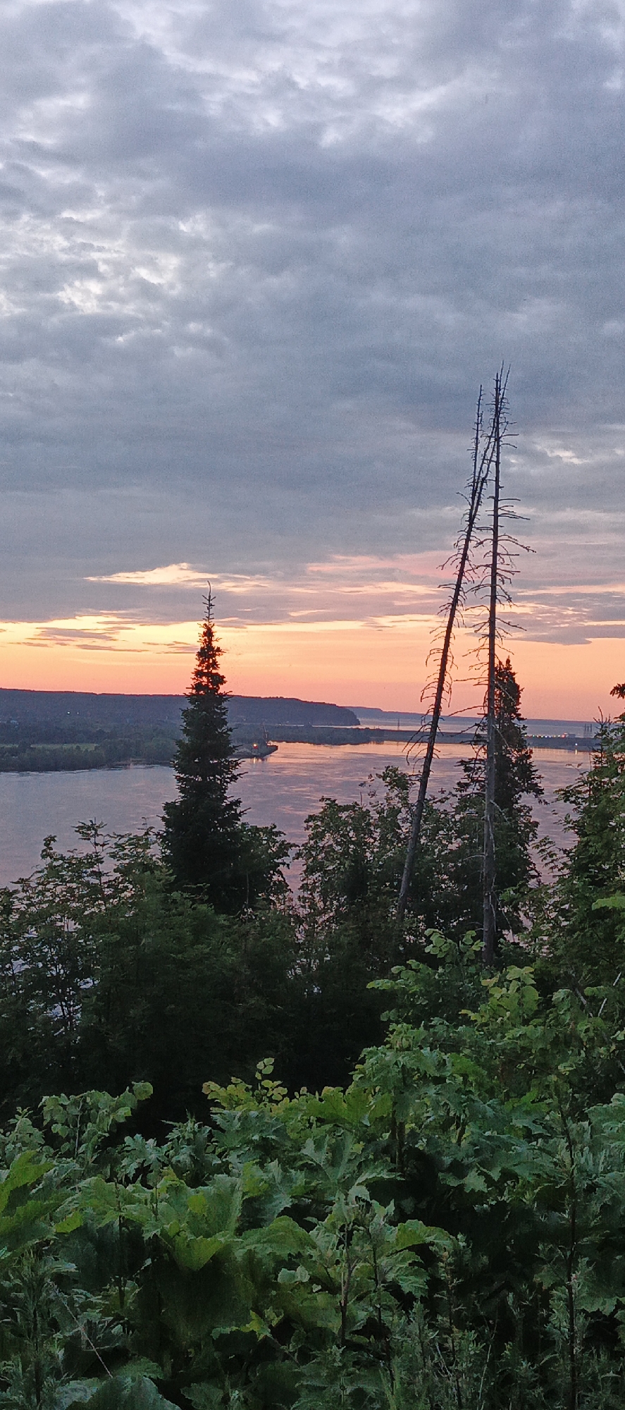 The image depicts a panoramic view of the Kama River at sunset in Chaykovsky, Russia. The sky is filled with dramatic, gray clouds illuminated by the vibrant orange and pink hues of the setting sun. In the foreground, lush green foliage and trees dominate the lower portion of the frame. Among them, two tall, bare, dead trees stand out as skeletal silhouettes against the colorful sky. A dark green, conical evergreen tree is positioned slightly to the left of the center, catching the light from the sunset. The river stretches across the midground, its surface reflecting the colors of the sky. In the distance, the opposite bank of the river is visible, lined with trees and some industrial structures, including what appears to be a port with cranes and a ship. The overall scene is serene and somewhat dramatic, capturing the beauty of nature at dusk.