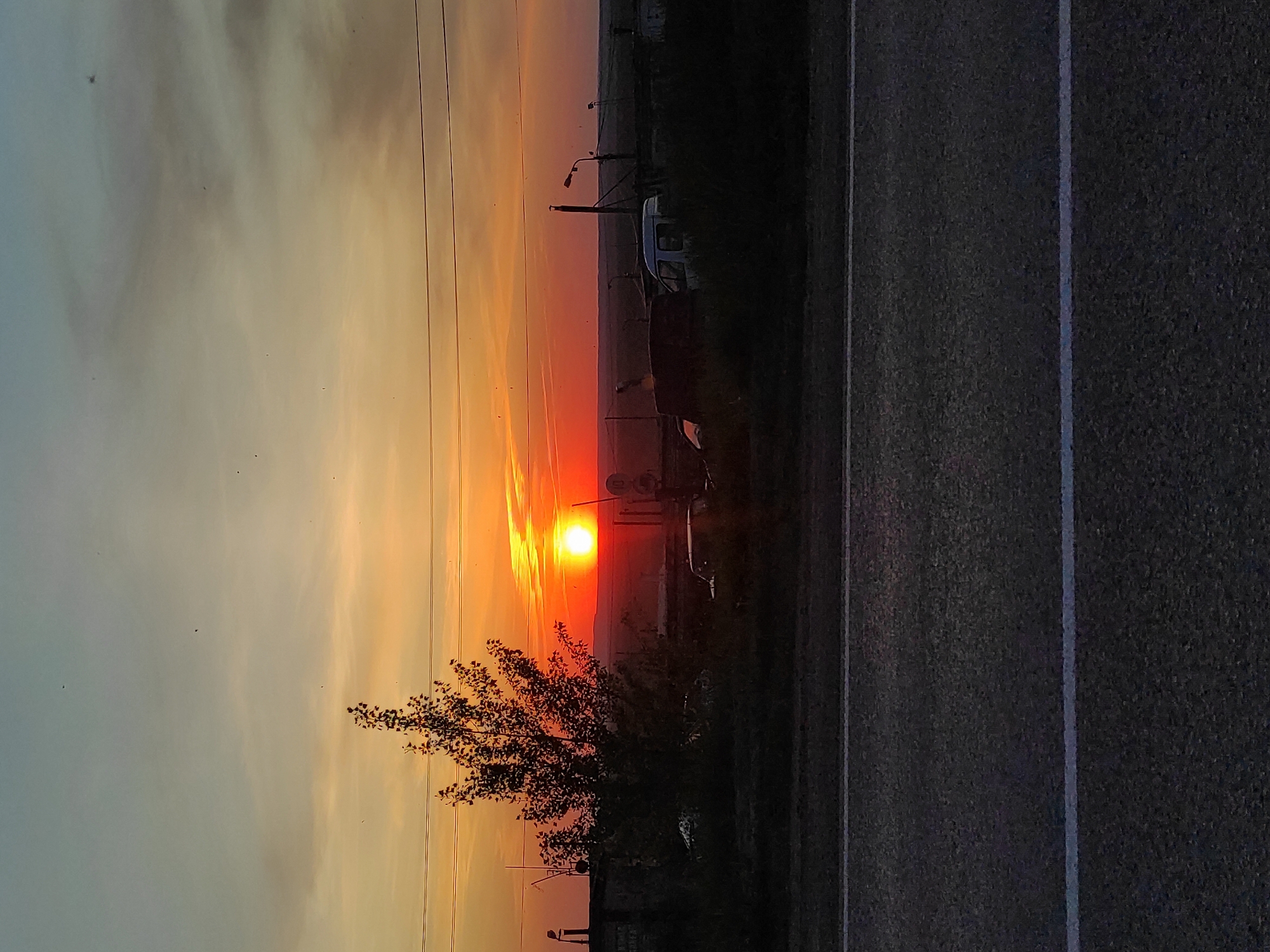 The image depicts a sunset over what appears to be a roadside landscape. The sky transitions from a pale blue-grey to a fiery orange-red, with the sun itself a brilliant orb low on the horizon. Power lines stretch across the upper portion of the sky. A tree, silhouetted against the bright sunset, is located in the lower center of the image.
On the right side of the image, a paved road is visible, marked with a white line. Beyond the tree, on the far side of the road, are glimpses of a vehicle and some infrastructure, possibly signs or poles. The overall impression is of a rural or semi-rural scene at dusk.
The location in Chaikovsky, Russia, is difficult to verify without further information or specific landmarks. The scene could represent any number of roadside locations near the city. There are no visible people in the scene.