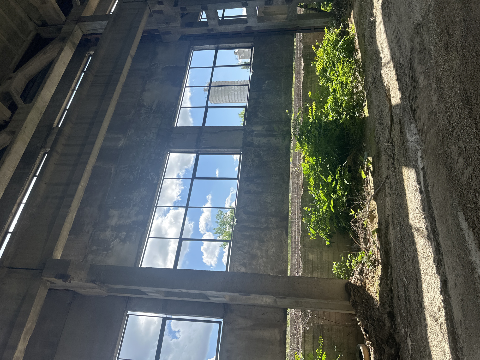 The image depicts the interior of a large, unfinished concrete structure, possibly an industrial building or warehouse, with large windows looking out onto a sunny day. The windows reveal a bright blue sky with scattered white clouds, and through the windows, a cylindrical building, likely a silo or tower, is visible in the distance, along with some greenery and what appear to be other industrial structures. The interior is characterized by exposed concrete beams, columns, and walls, with a rough, unfinished texture. The floor is dirt and debris, with some patches of gravel. Lush green plants are growing in front of the windows, obscuring the lower portion of the wall. Sunlight streams in through the windows and openings at the top of the structure, casting strong shadows on the floor. There are no people or animals visible in the image. The scene suggests a state of abandonment or ongoing construction.
