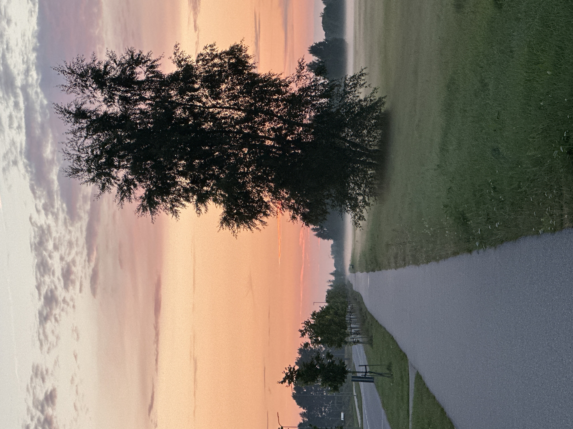 The image depicts a tranquil scene at sunrise in Tiskre, Estonia. A paved pathway, possibly a bike or walking path, dominates the foreground, curving gently into the distance. To the left of the path, a road with streetlights is visible, bordered by newly planted trees with protective stakes. Beyond the trees on the left, a dense line of mature trees forms the edge of a wooded area.
To the right of the pathway, a large, dark silhouette of a deciduous tree stands prominently. The tree's branches are full of leaves and are partially backlit by the rising sun. The field behind the tree is covered in grass and a light mist hovers close to the ground, creating a hazy, ethereal atmosphere. In the distance, the mist extends across the landscape, obscuring the horizon and further receding treelines.
The sky is painted with soft hues of pink, orange, and a pale yellow near the horizon, transitioning to a lighter, almost white color at the top of the frame. Wispy clouds are scattered across the sky, catching the warm light of the sunrise. The overall impression is one of quietude and natural beauty, with the man-made pathway contrasting with the serene, misty landscape. There are no people or animals visible in the image.