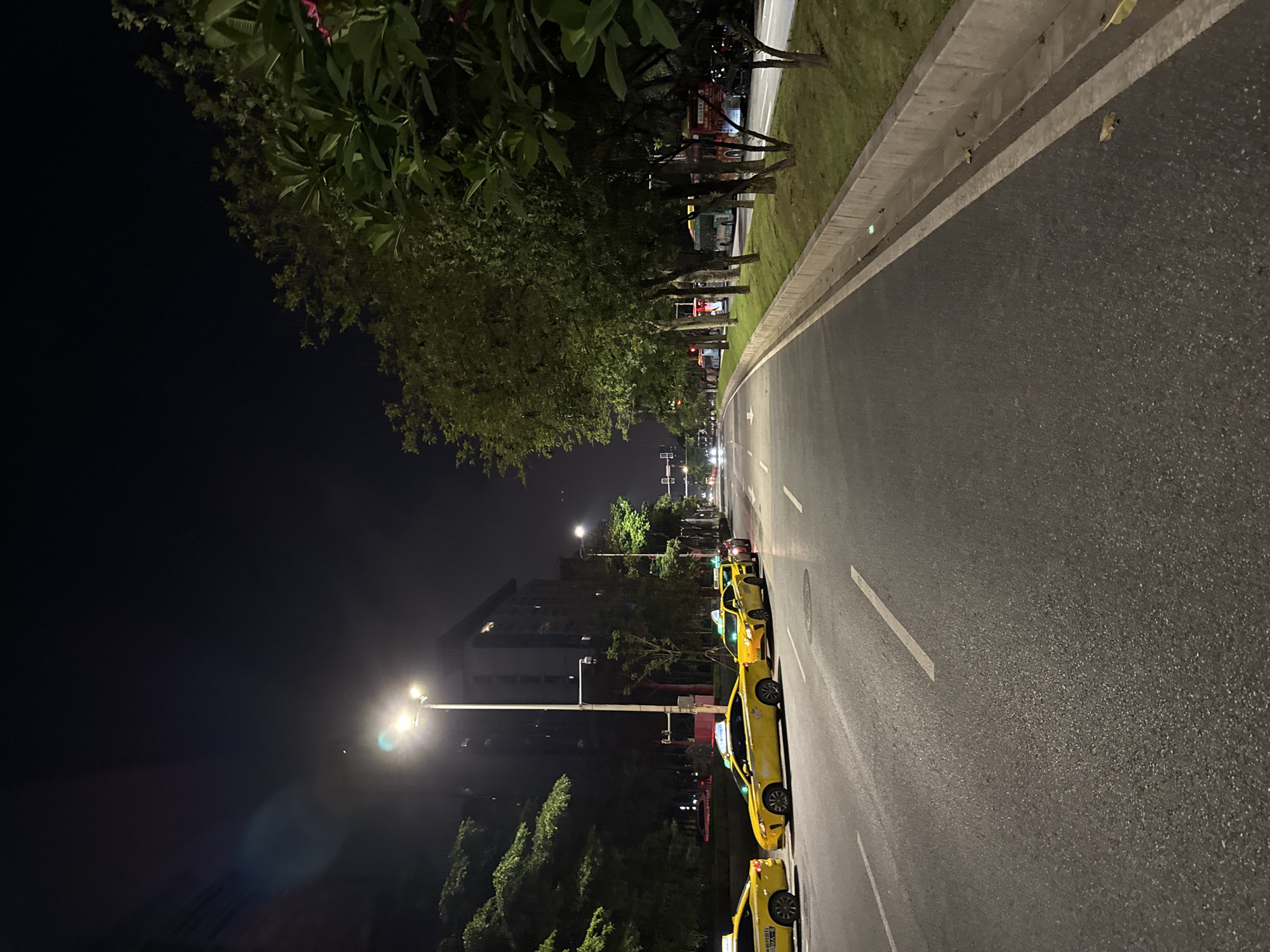 This is a nighttime photograph taken on a city street in Haizhu District, China. The scene depicts a multi-lane asphalt road with yellow taxis parked along the right side. Streetlights illuminate the road and the surrounding trees and buildings. On the left side of the road, there are trees and a multi-story building. On the right side, there is a well-maintained grassy area with a concrete curb separating it from the road, and more trees lining the sidewalk. In the distance, other vehicles and traffic signals are visible. The sky is dark, indicating it is night.
