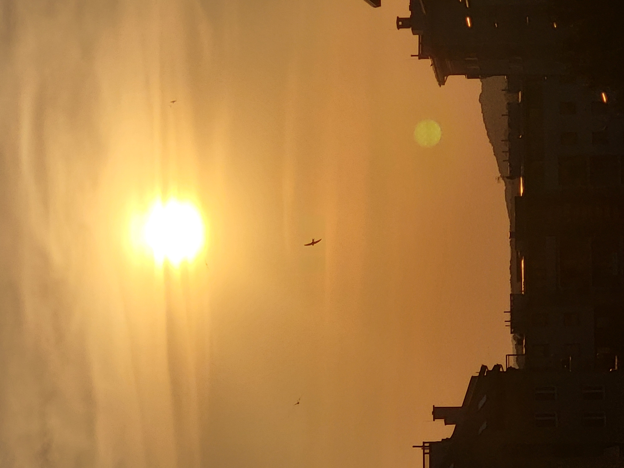 The image captures a sunset over a city, likely in an urban environment given the presence of buildings. The sun, a bright, glowing orb, is positioned high in the sky, casting a warm, orange hue across the scene. Wispy clouds are visible, tinged with the same golden light. Several birds are silhouetted against the sky, their wings outstretched as they fly. In the foreground, the dark silhouettes of buildings rise, their architectural details obscured by the low light. Some buildings have visible chimneys and dormer windows. In the distance, a hilly landscape can be seen, also silhouetted against the sunset. The overall impression is one of tranquility and the end of a day.