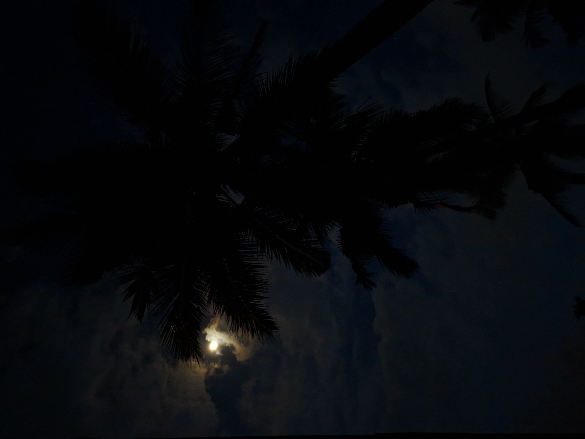 The image is a low-angle shot taken at night, possibly in Lhokseumawe, Indonesia. The primary subject is the silhouette of palm trees against a dark, cloudy sky. A bright moon is visible, partially obscured by clouds, positioned near the bottom center of the frame. There is also a single visible star above the treetops. The environment appears to be dark and quiet, with the focus on the natural elements of the sky and trees.