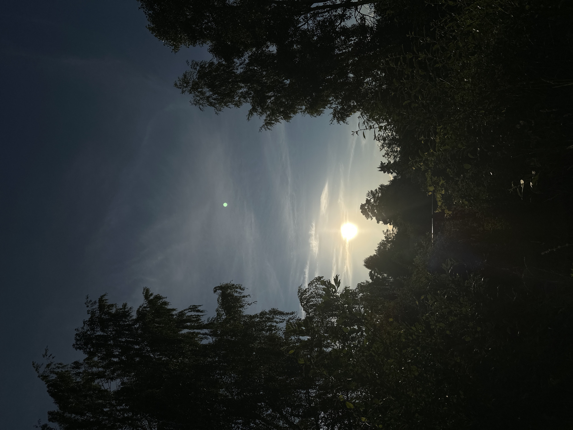 A low-angle shot captures a serene sunset or sunrise through the silhouette of trees in Chaikovsky, Russia. The sky is a deep blue, transitioning to lighter shades of blue and white with wispy clouds. The sun, a bright orb, is positioned in the center-right of the frame, casting a warm glow. To the left of the sun, a smaller, faint green orb is visible in the sky. The foreground and edges of the image are framed by dark, leafy trees, with dense foliage and branches obscuring the ground below. A hint of a structure, possibly a bridge or railing, is visible in the distance, partially obscured by the trees.