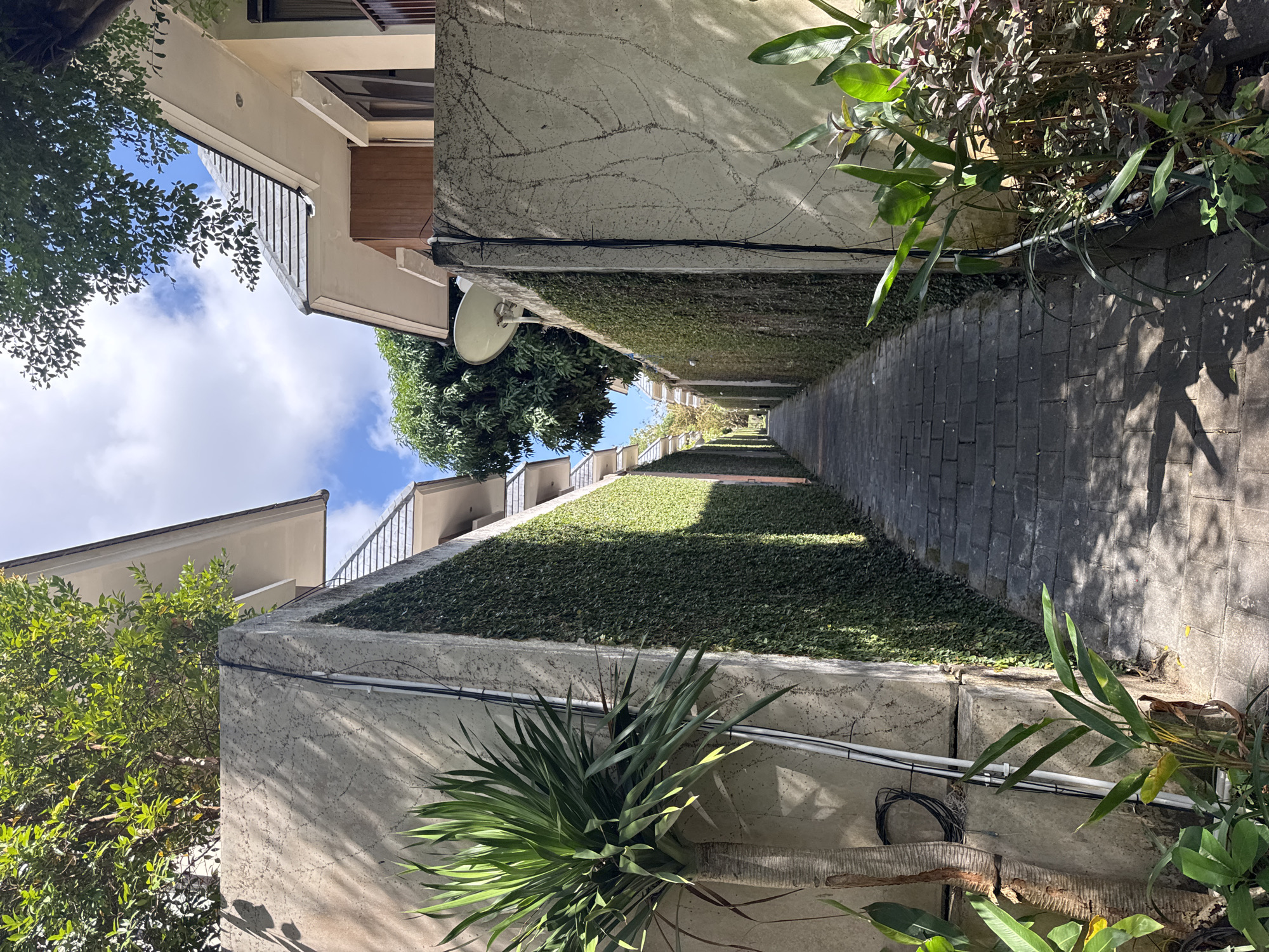 The image shows a narrow paved walkway between two walls in Kuta Selatan, Indonesia. The wall on the left is concrete and partially covered with ivy. A large potted plant with spiky green leaves stands next to this wall, with black electrical cables coiled on the ground and running up the wall. The wall on the right is also concrete and covered in dense ivy. Beyond the walls, modern buildings with pitched roofs are visible, some with balconies. A satellite dish is mounted on the right wall, partially obscured by foliage. The walkway extends into the distance, with shadows from the surrounding foliage cast across the paved surface. The sky above is blue with scattered white clouds.