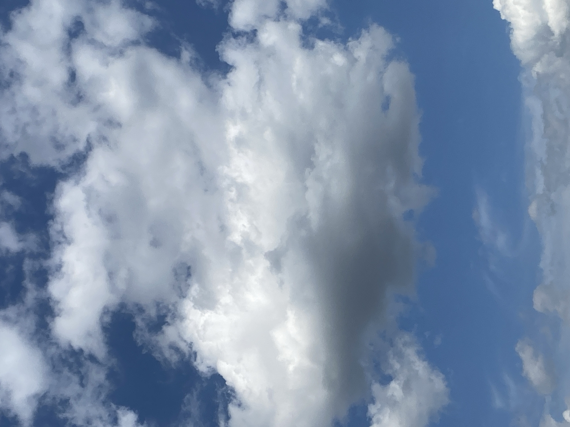 This is a high-angle, close-up shot of a blue sky filled with cumulus clouds. The clouds vary in color from bright white to dark gray, suggesting different densities and altitudes. The scene appears to be an outdoor environment. There are no discernible landmarks or elements that would allow for identification of a specific location within Kursk, Russia, or any other city. The image focuses solely on the sky and cloud formations.