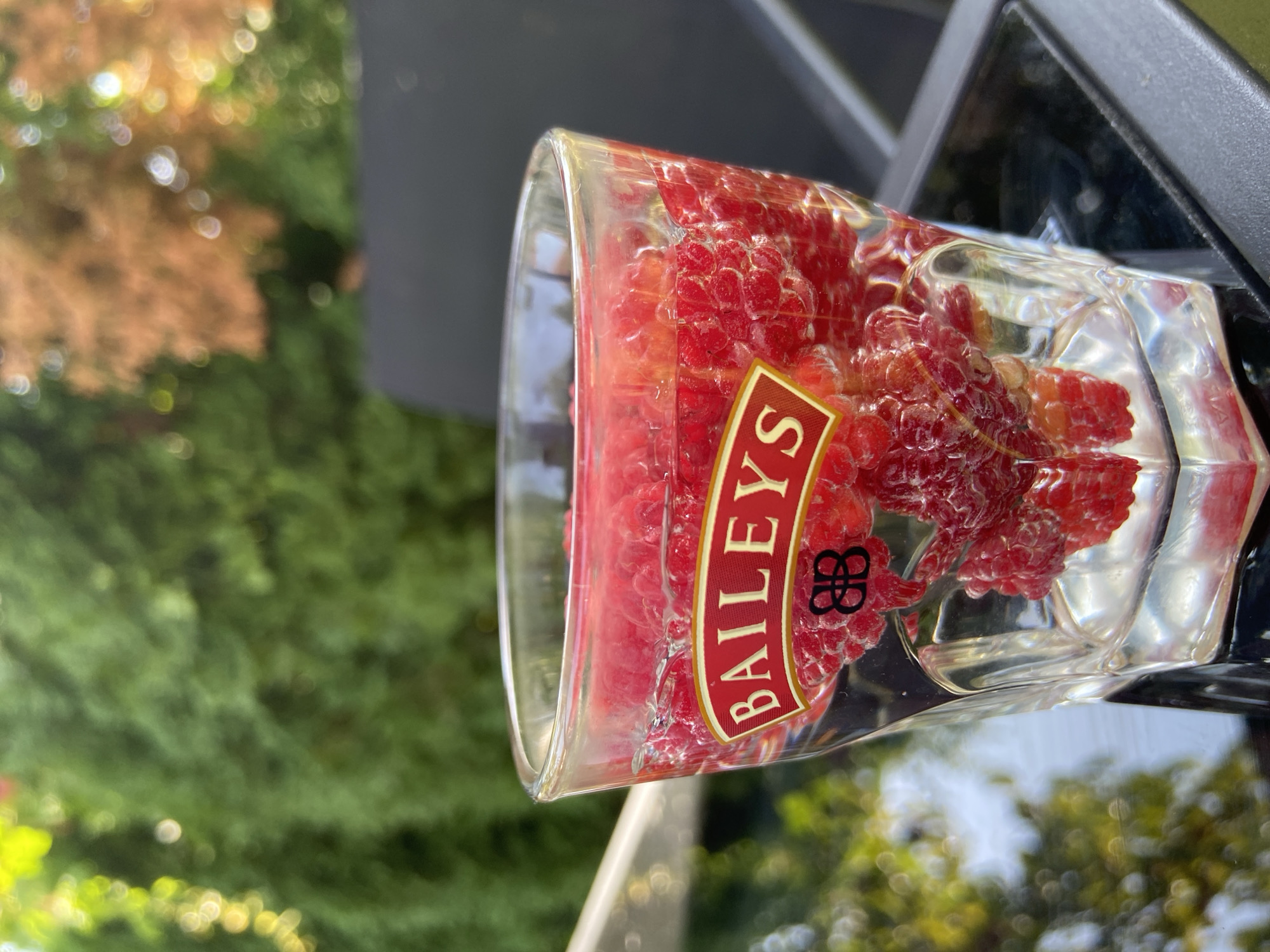 A clear glass shot filled with raspberries and a clear liquid, sits on a black table outdoors. The glass has a red and gold label with the word "BAILEY'S" printed on it, along with a black logo. The background is blurred, showing green foliage and some brown leaves, suggesting it is a sunny day. There are no people visible in the image. This scene is not located in Mindia, Bulgaria.