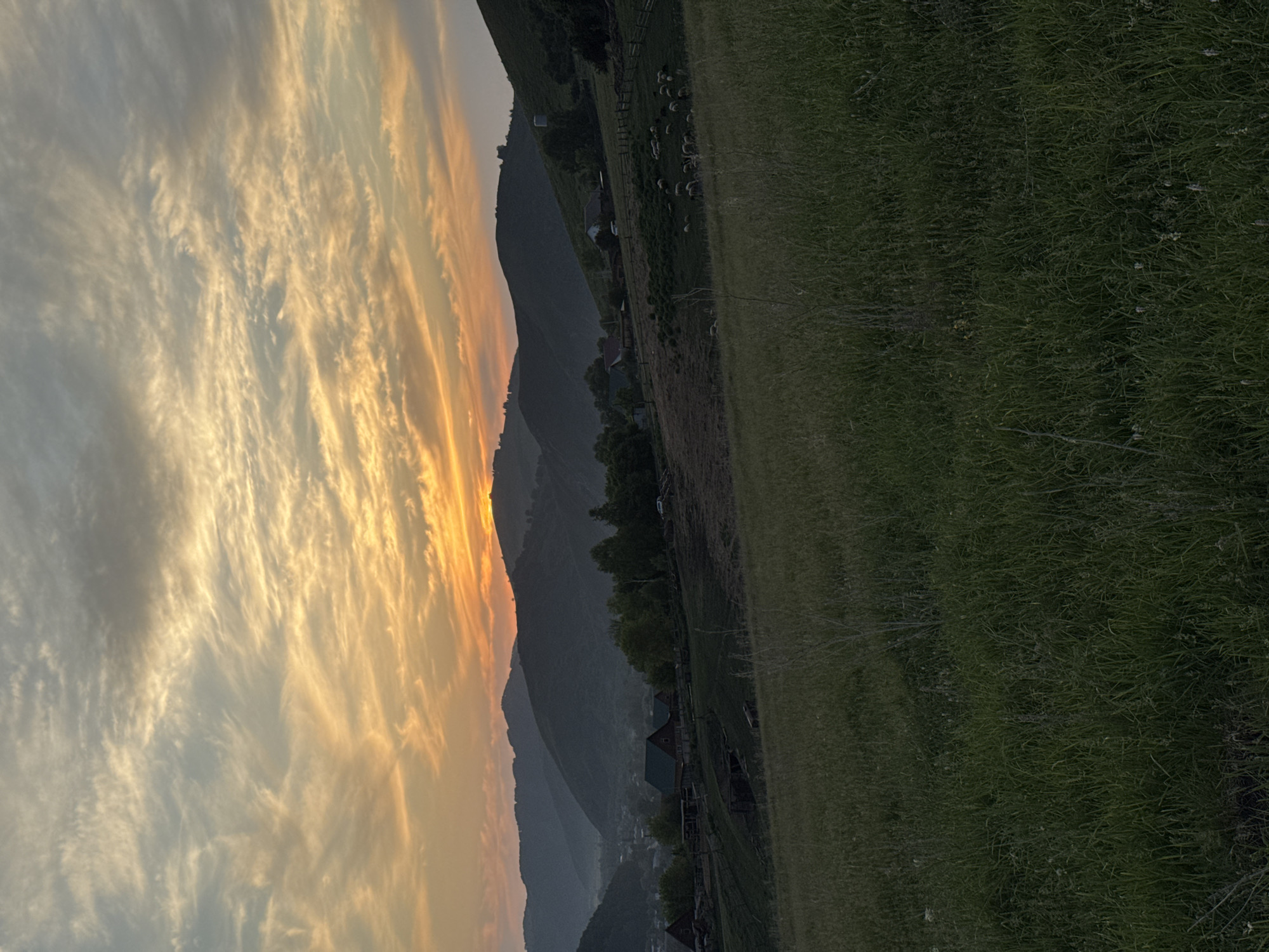 A serene landscape unfolds under a dramatic sunset, casting a warm glow over rolling hills and a small village. The sky is a canvas of streaky clouds, painted with hues of orange, yellow, and pale blue, transitioning into a darker grey towards the top. In the mid-ground, a cluster of dark-roofed buildings, likely houses and barns, are nestled on a gentle slope. A fence encloses an area where a flock of sheep grazes peacefully. Further back, the undulating silhouettes of mountains recede into the distance, shrouded in a soft, hazy light. The foreground is dominated by a field of tall, green grass, adding a sense of depth and natural beauty to the scene. The location is identified as Soloneshnoye, Russia.