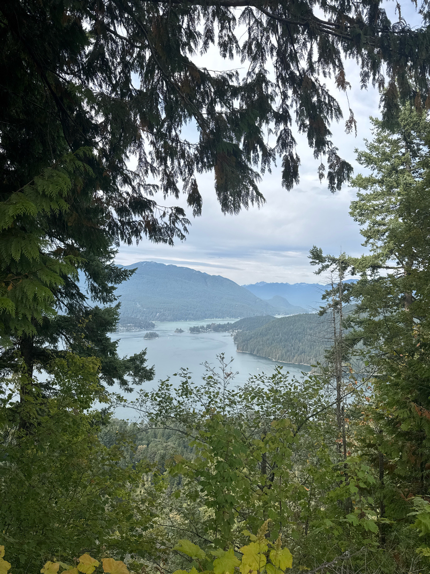 The image captures a scenic view of Indian Arm, a fjord extending from the Burrard Inlet, as seen from a vantage point within Burnaby, Canada's forested terrain. The foreground is dominated by lush green foliage and branches of trees, partially framing the expansive vista beyond. The middle ground features a body of water, likely Indian Arm, with a shoreline lined with dense evergreen forests. Several small islands are visible in the water, and a few boats are scattered across the surface. In the background, majestic mountains rise, their slopes covered in trees, and their peaks are softened by a hazy, overcast sky. The overall impression is one of natural beauty and tranquility, characteristic of the mountainous and coastal landscapes surrounding Burnaby.