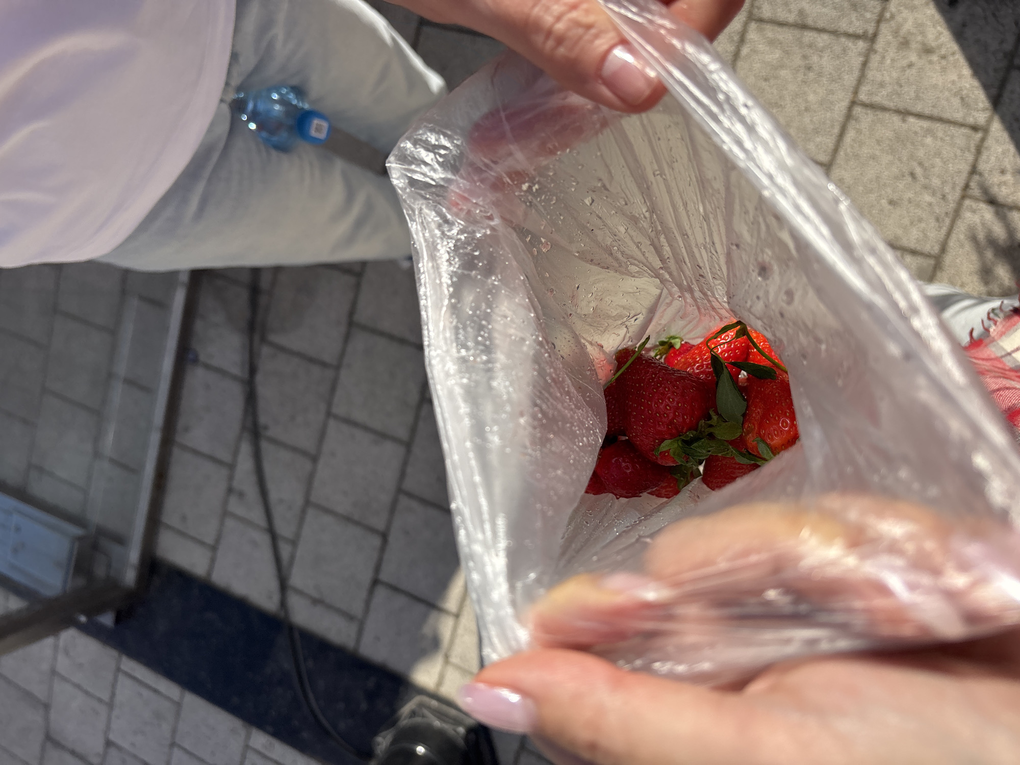 A person holds a clear plastic bag filled with fresh strawberries. The background reveals a gray-tiled pavement, part of a white garment, and a blue water bottle. The image was taken in an outdoor setting, suggesting a public space. The nails of the person holding the bag are manicured. The location is Krasnoyarsk, Russia.