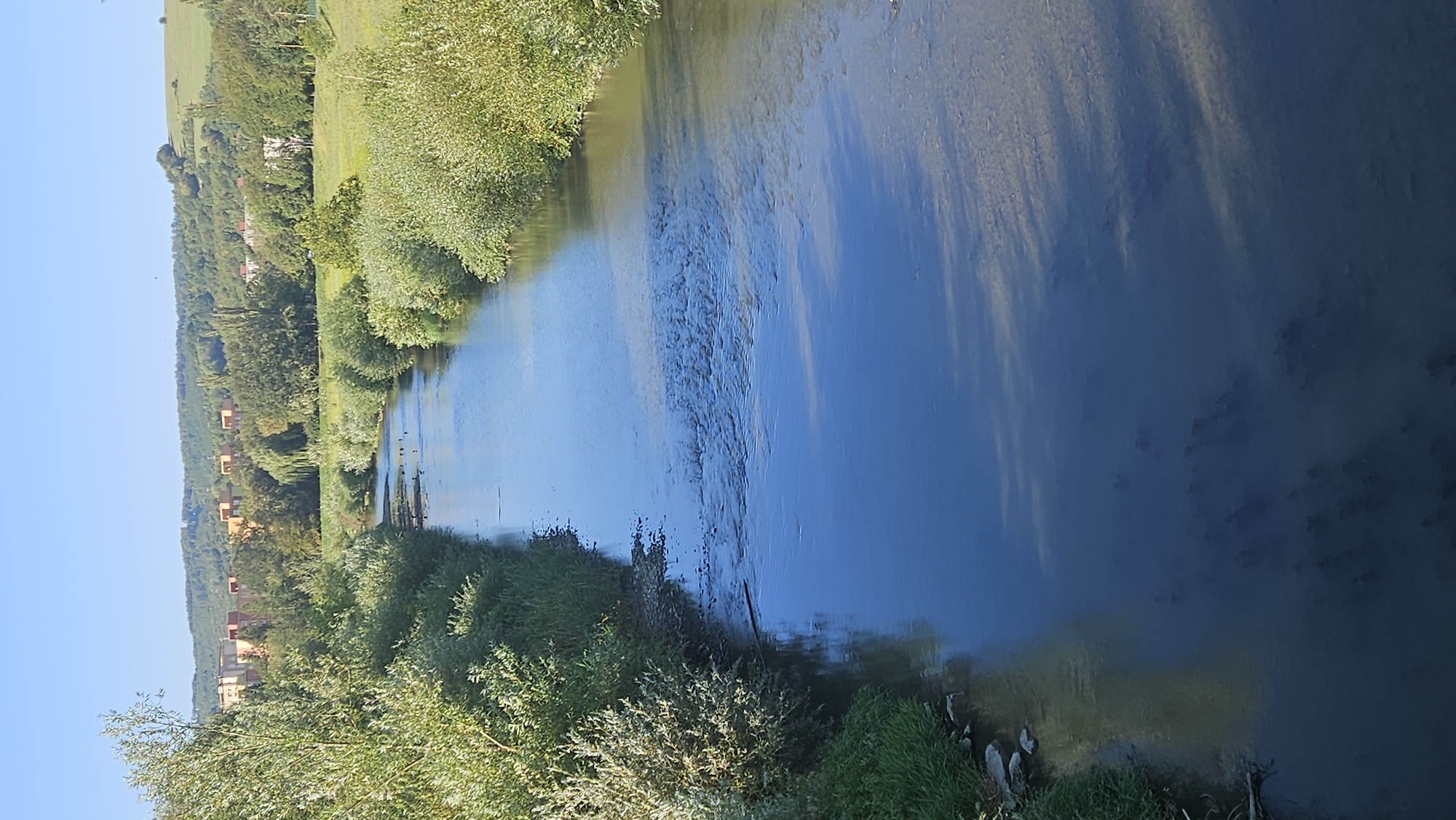 This is a vertical, eye-level, full shot of the Torysa river flowing through a green landscape with buildings in the distance, likely in Prešov, Slovakia. The river is the central subject, with its surface reflecting the clear blue sky. Lush green vegetation lines both banks of the river, with some of the foliage appearing to be overgrown and slightly wild. In the background, a row of apartment buildings with orange and cream facades can be seen nestled amongst trees, suggesting an urban or suburban edge to the natural setting. The overall impression is one of a peaceful, sunlit day.