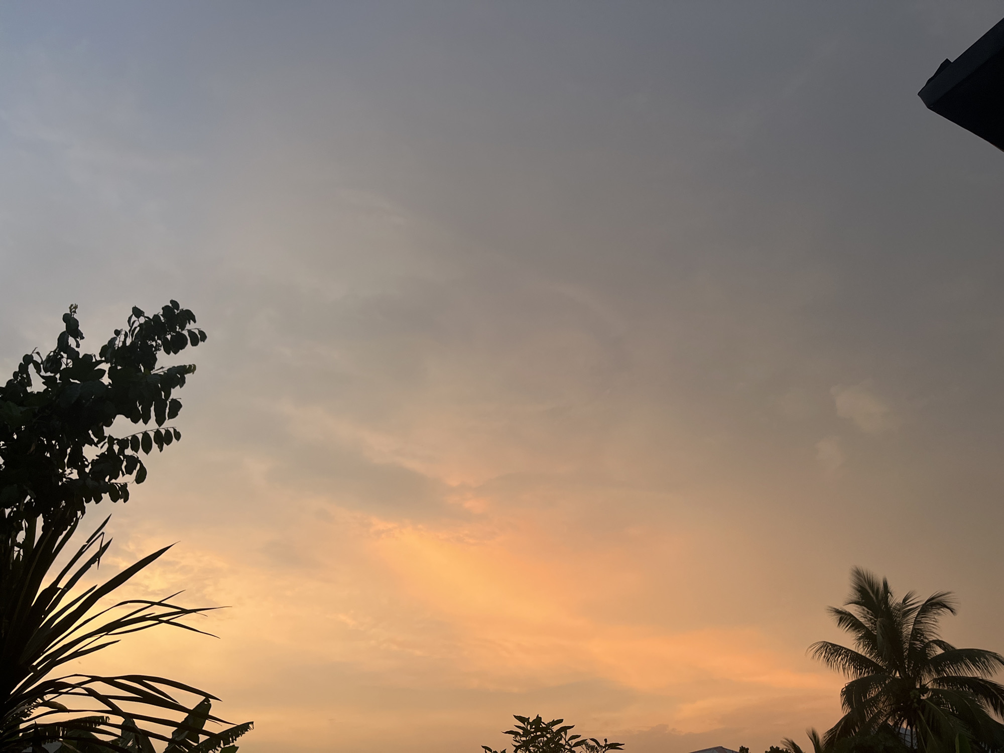 The image depicts a sunset in what appears to be Ikot Ekpene, Nigeria, judging from the tropical vegetation. The sky transitions from a light gray-blue at the top to an orange-yellow near the horizon, indicating the setting sun. Silhouetted against the sky are various trees, including a palm tree on the lower right and another leafy tree on the lower left. A dark, indistinct shape is visible in the upper right corner, possibly a building or part of a roof. No people are visible in the image.