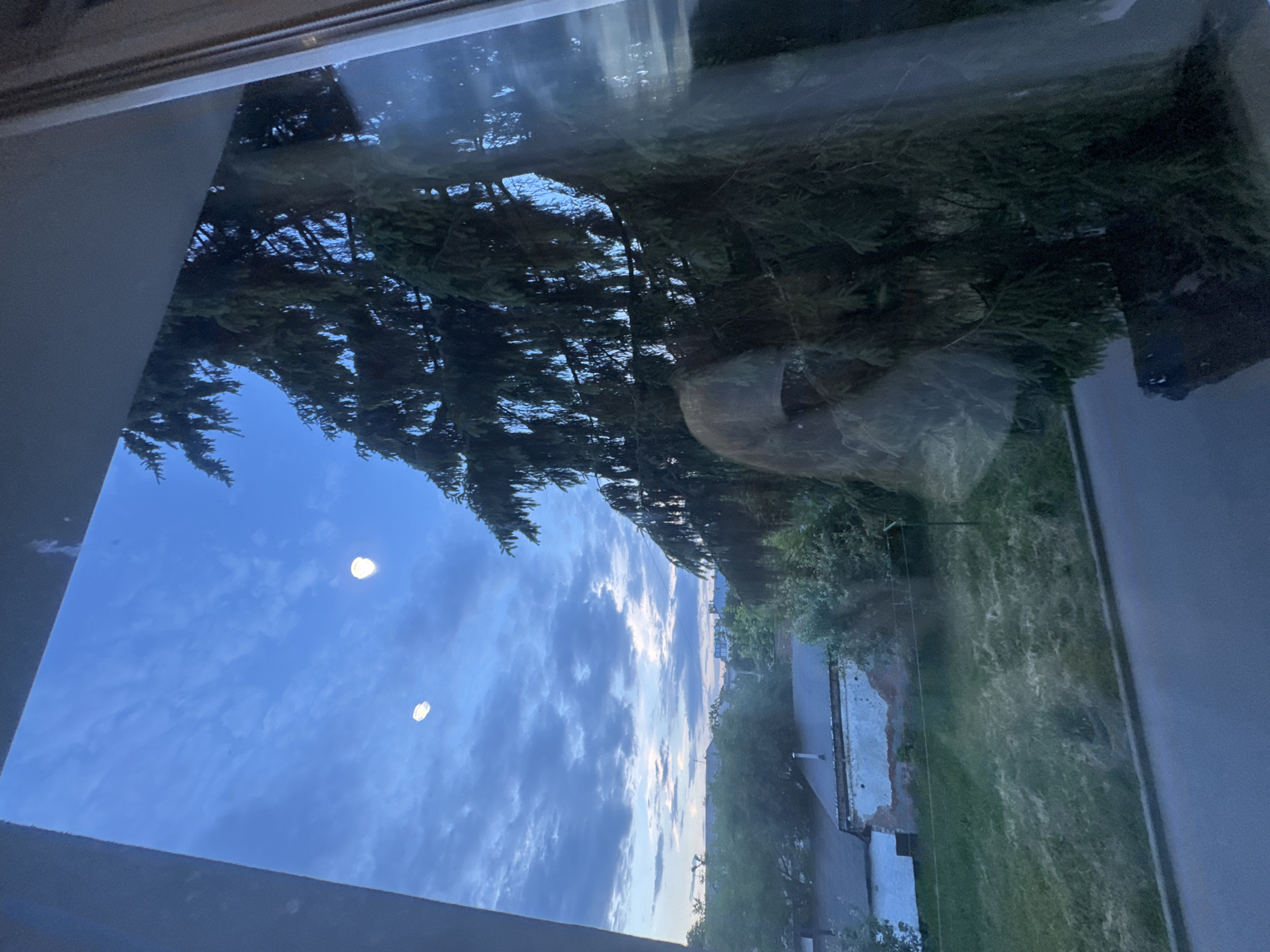 The image is a vertical, eye-level, outdoor shot taken through a window, looking out onto a cloudy, blue sky at dusk. In the foreground, a large evergreen tree dominates the right side of the frame, its branches dark and dense against the sky. Reflections are visible on the window, obscuring some of the view.
Further back, a residential area is visible. There are houses with pitched roofs, some appearing to be in disrepair with exposed brickwork. Patches of green grass and trees are interspersed between the buildings. A paved road or sidewalk runs along the bottom of the frame. The overall impression is of a somewhat overcast evening in a residential neighborhood, possibly in Poltava, Ukraine, given the context.