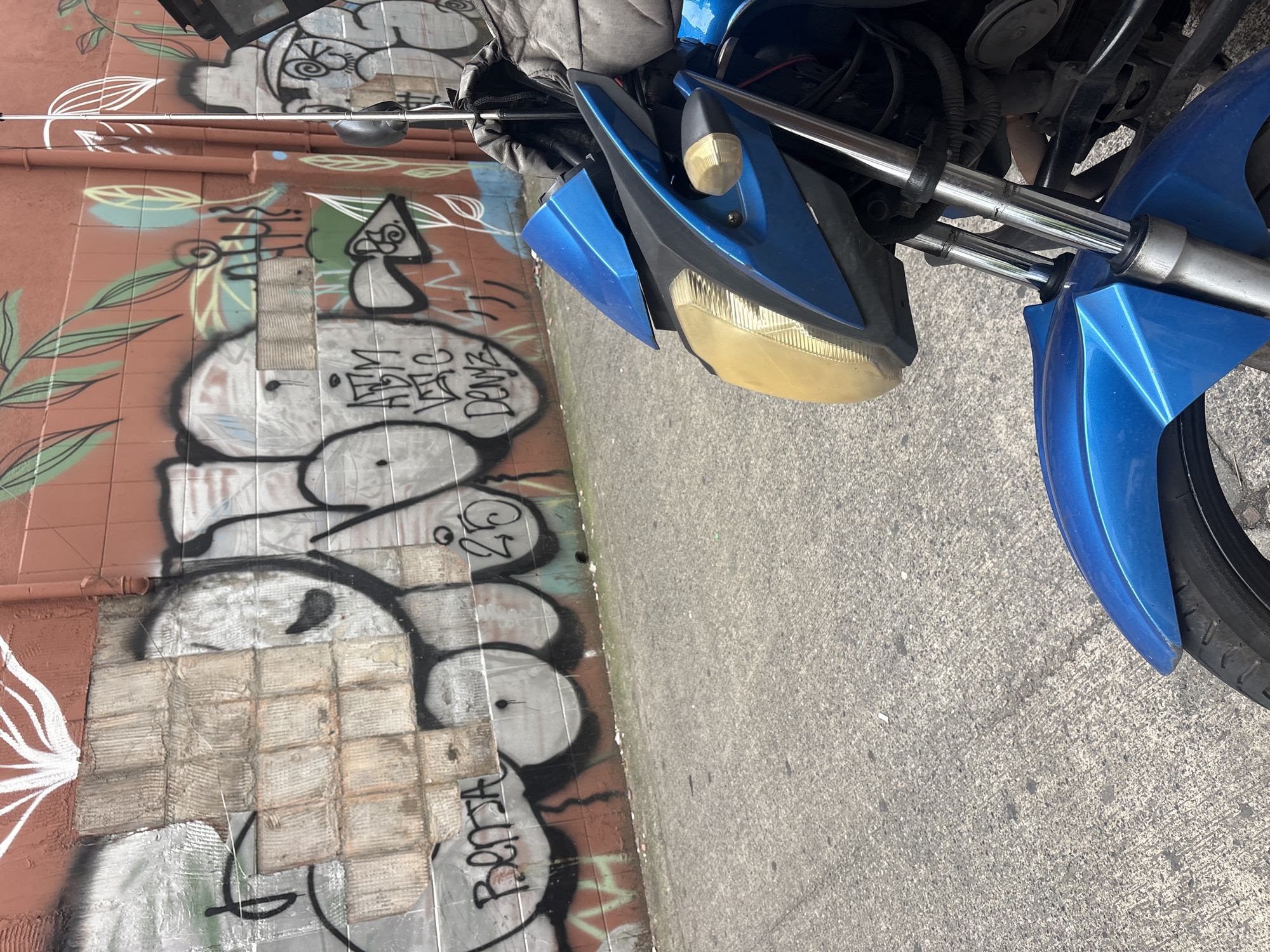 A blue motorcycle is parked on an asphalt road in front of a brick wall covered in graffiti. The wall has various tags and drawings, including a large white plant-like design at the top, and several black and white graffiti tags with green accents. The motorcycle is facing towards the right of the frame, with its front wheel and handlebars visible. The overall scene suggests an urban environment, possibly a back alley or street in São Paulo, Brazil, given the style of graffiti and the presence of a motorcycle commonly used for transportation in the city.