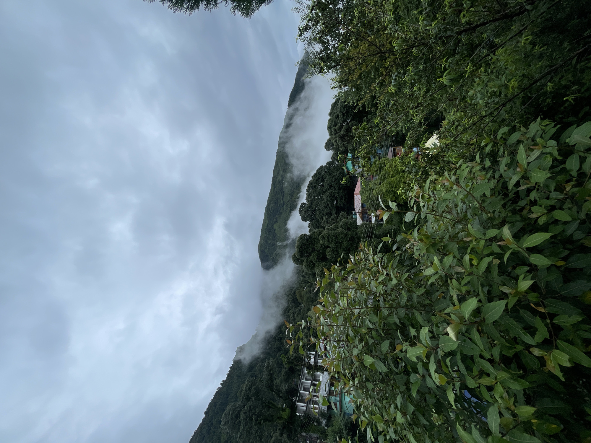 The image depicts a mountainous landscape in Bhagsu, India, characterized by lush green vegetation and a cloudy sky. In the foreground, dense foliage with various shades of green leaves dominates the view. Behind the foliage, structures of buildings are visible nestled into the side of a mountain. These buildings appear to be of varying heights and architectural styles, with some featuring white facades and balconies, while others have colorful roofs. The middle ground is characterized by steep, tree-covered slopes. Wisps of white mist snake through the trees and along the contours of the mountains, suggesting a cool, damp atmosphere, possibly indicative of fog or low-lying clouds. The sky above is overcast with heavy, gray clouds, obscuring any direct sunlight and contributing to a subdued, atmospheric mood. The overall scene evokes a sense of a remote, natural environment integrated with human settlement.