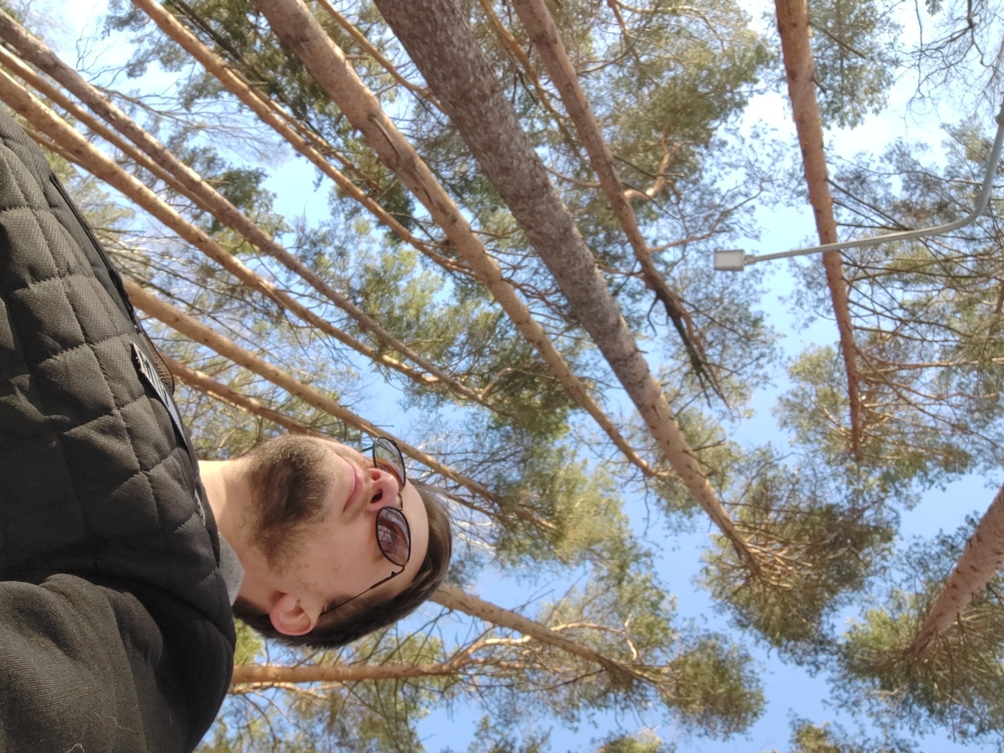 A low-angle shot shows a person wearing sunglasses and a dark, quilted jacket, positioned in the lower left of the frame. The background is filled with tall pine trees reaching towards a pale blue sky. A streetlight fixture is visible among the branches. The image may have been taken in a forested area, possibly in or around the city of Chaikovsky, Russia.