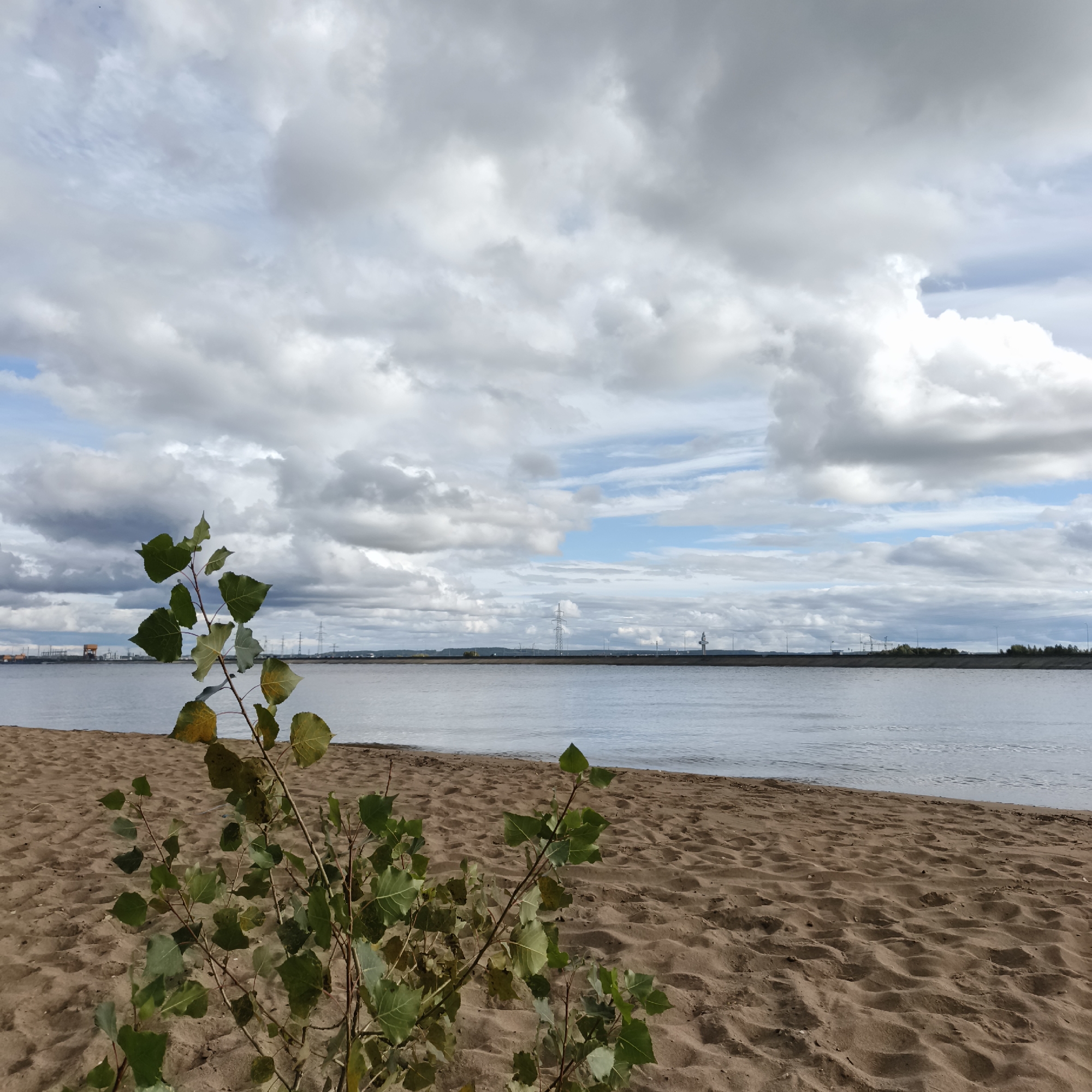 A sandy beach with scattered vegetation in the foreground is situated next to a calm body of water. In the distance, across the water, is a treeline bordering a flat expanse, with industrial structures including transmission towers and cranes visible on the horizon under a cloudy sky. The location is identified as Noviy, Russia.