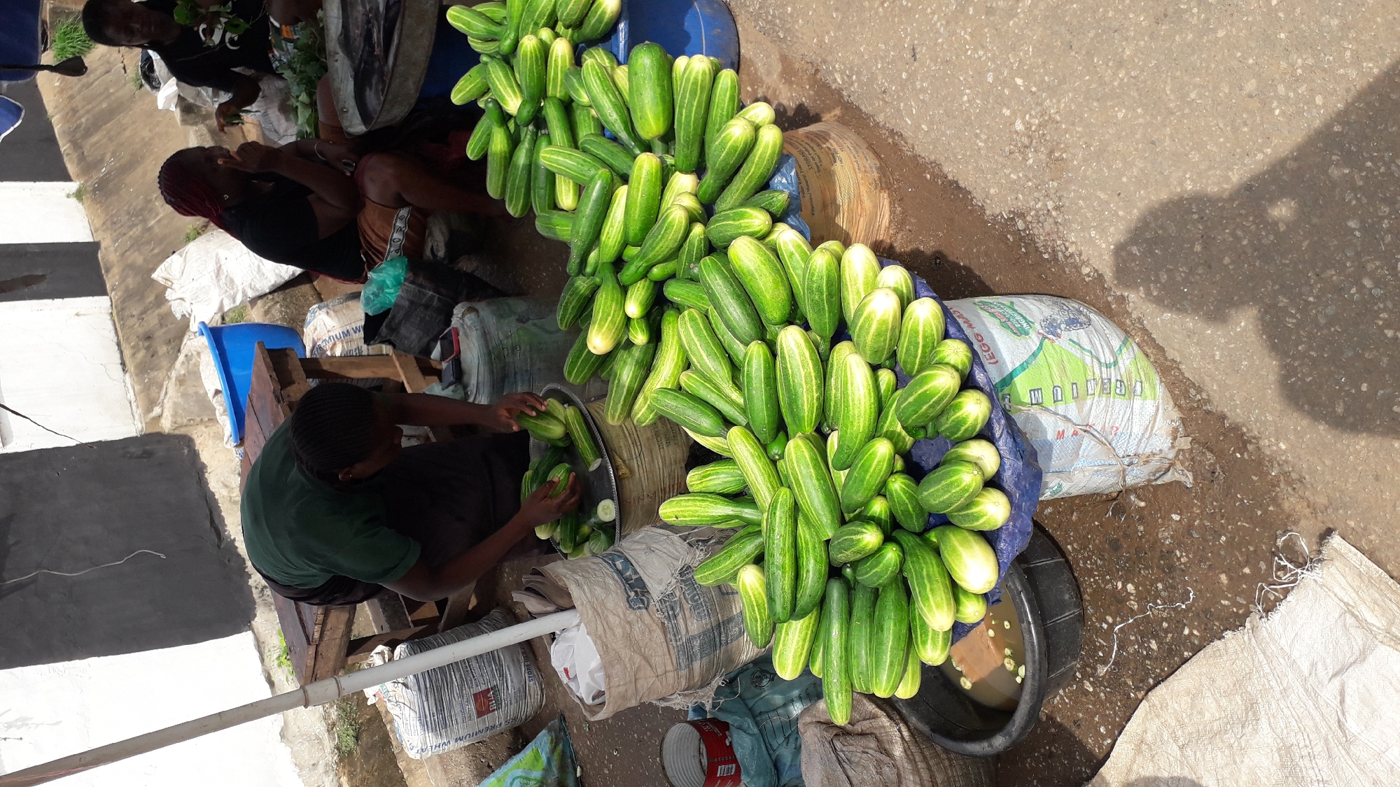 This image depicts a busy outdoor market scene in Onitsha, Nigeria. In the foreground, a large quantity of fresh cucumbers is displayed on a blue tarpaulin, with more piled in a black plastic basin containing water. Behind the cucumbers, several large sacks are visible, one of which appears to contain bagged goods with text suggesting "EGG MASS" and "INGREDIENTS".
Three women are present in the scene. One woman, wearing a green t-shirt and dark skirt, is bent over a wooden table, seemingly engaged in sorting or preparing produce. Another woman, wearing a black t-shirt and patterned skirt, is seated and gesturing with her hand. A third woman, also in dark clothing, is partially visible in the background, also appearing to be working with produce.
The environment appears to be a street or marketplace, with a rough concrete ground and a white and black painted wall in the background. The scene is characterized by the abundance of fresh produce and the active presence of vendors. The lighting suggests it is daytime, with shadows cast on the ground.
