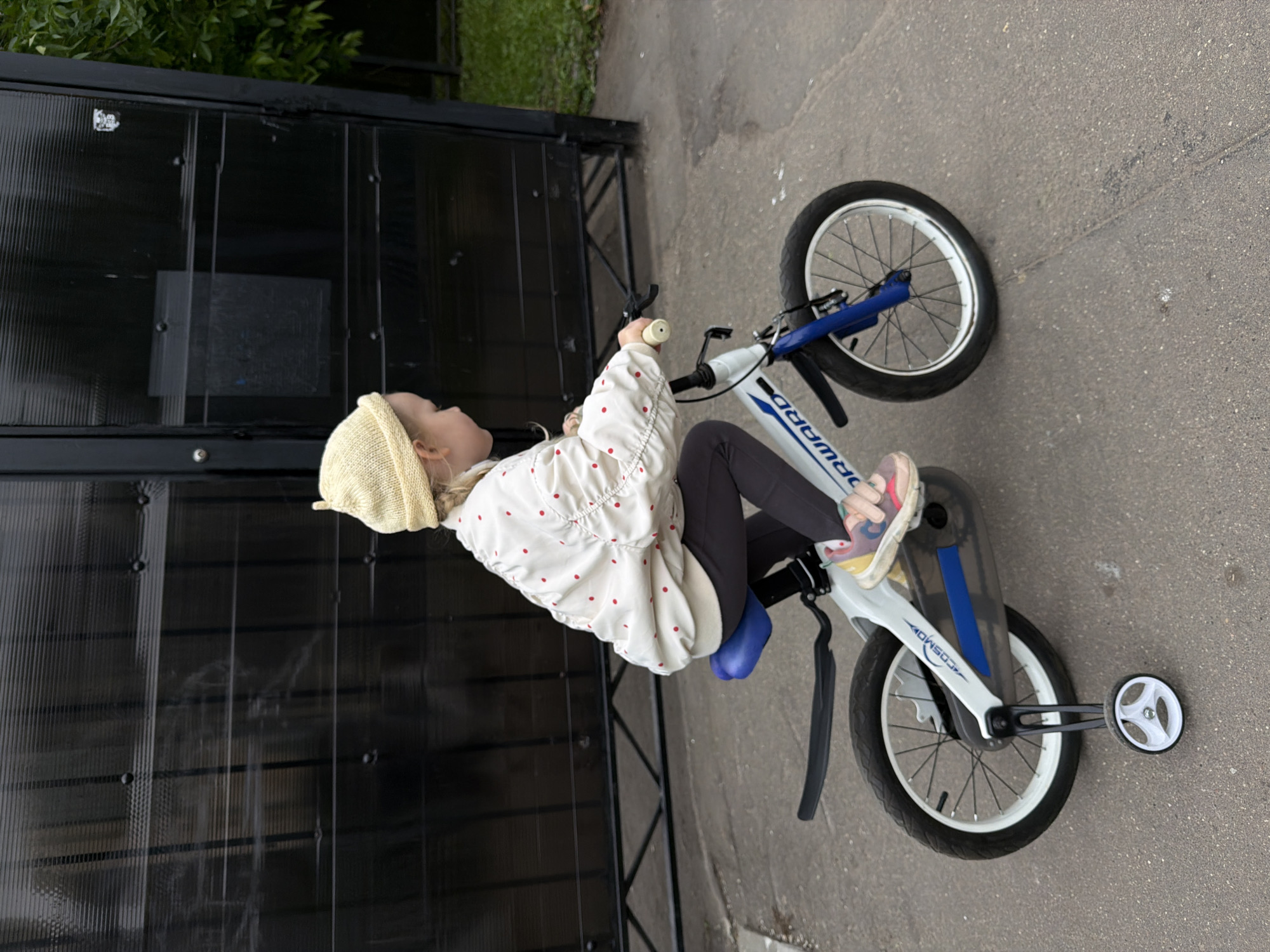 The image shows a young child positioned upright on a white and blue children's bicycle, which is fitted with training wheels. The child is seen in a side profile, looking towards the upper left. They are wearing a cream-colored knitted beanie, a white jacket with small red polka dots, dark leggings, and light-colored athletic shoes with pink, yellow, and white accents. Their hands are gripping the white handlebars of the bicycle, and their feet are either on the ground or positioned near the pedals.
The bicycle has a blue seat and blue accents on the front fork. Visible text on the bicycle frame includes "FORWARD" and "COSMO" near the front wheel.
The setting appears to be an outdoor paved area, likely a sidewalk or path, made of grey asphalt or concrete. In the background, there is a tall, dark, possibly corrugated plastic or metal fence or wall. Above the fence, some green foliage is visible. The scene suggests it is daytime, possibly overcast, given the child's attire of a jacket and hat. This event is taking place in Moscow, Russia. The child's expression is not clearly discernible, but their posture suggests focus or readiness while sitting on the bike.
