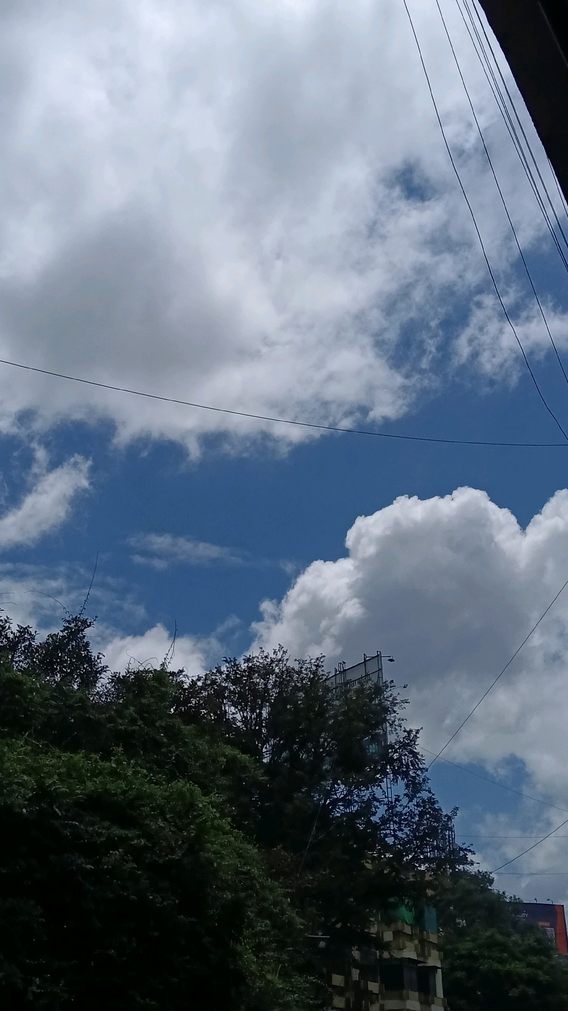 The image depicts a cloudy sky with patches of blue visible, as seen from a street level perspective in Pune, India. Lush green trees and foliage occupy the lower portion of the frame, obscuring a building underneath. Several power lines are strung across the sky, indicating an urban setting. A billboard structure is partially visible behind the trees, suggesting a commercial area. The overall impression is of a humid, overcast day in a densely vegetated part of the city.