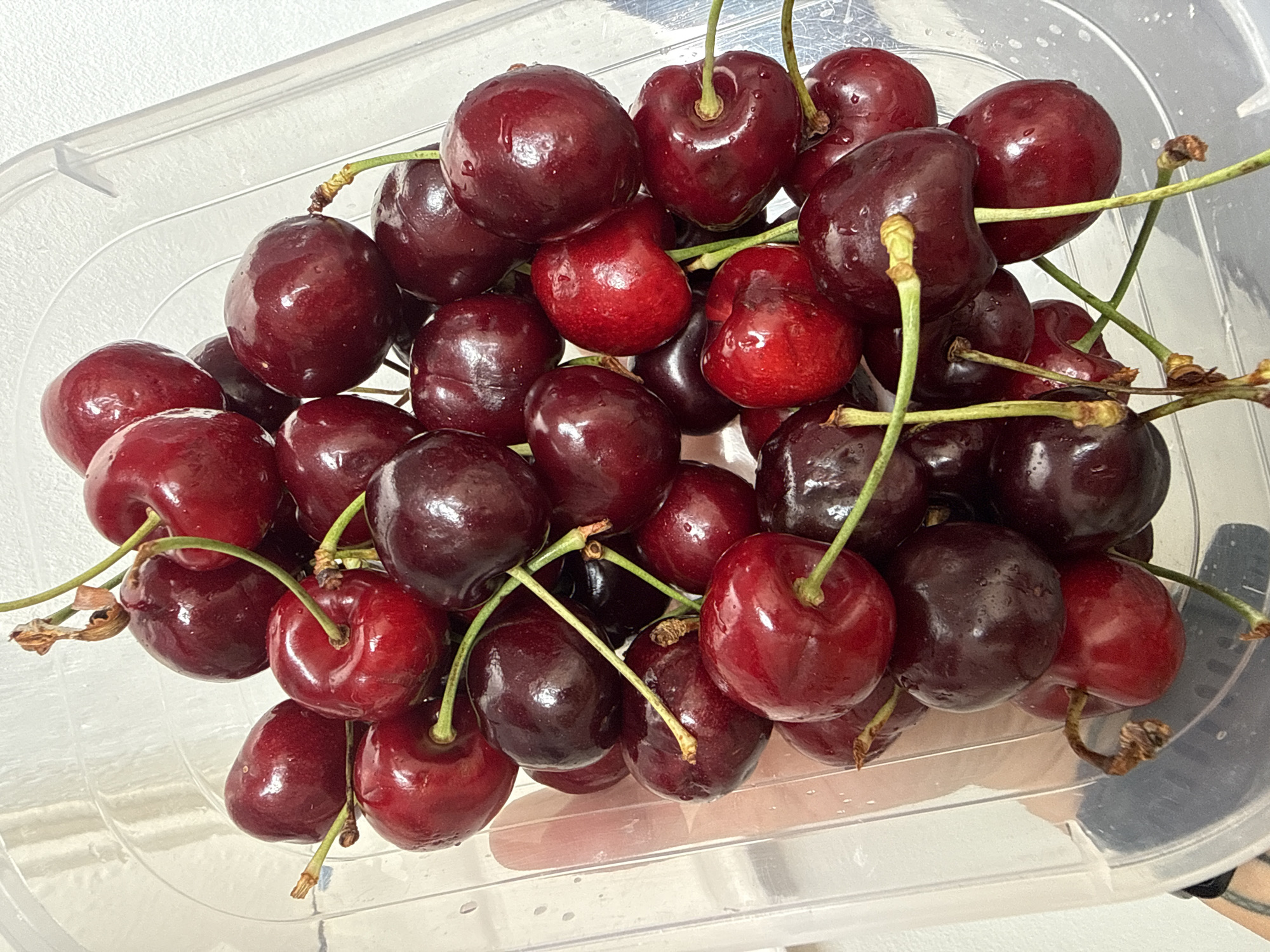 A clear plastic container filled with ripe, dark red cherries is presented from a top-down perspective. The cherries are clustered together, with some showing stems. The container is slightly transparent, revealing the ribbed texture of its interior. The background is a plain white wall. The image appears to be an indoor shot.