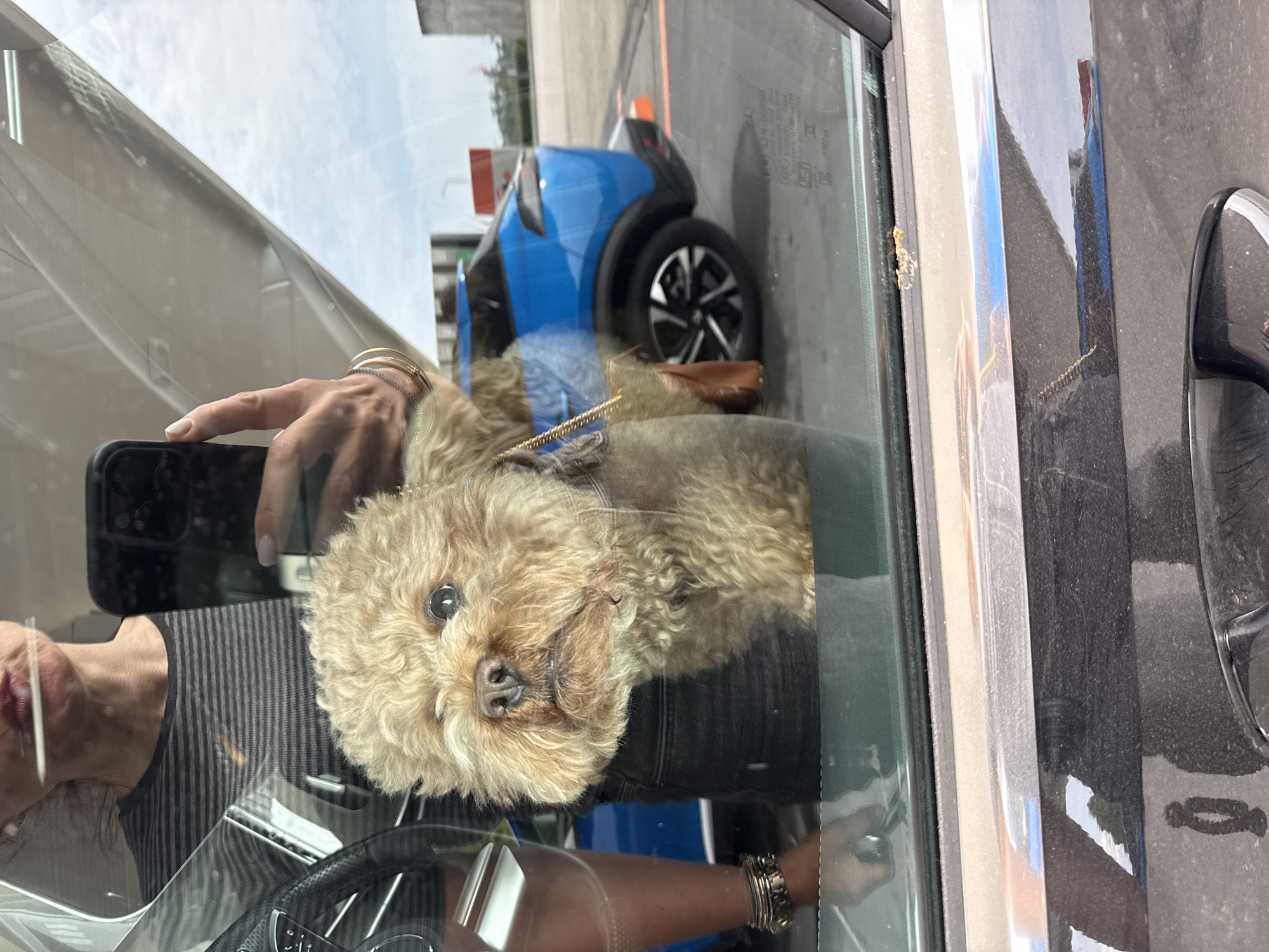 The image, taken from inside a car looking out a side window, captures a light brown, fluffy dog (possibly a poodle or similar breed) sitting on a car seat, looking directly at the camera. Its face is visible in the center of the frame.
The scene is heavily layered with reflections. A person's right hand, adorned with gold bracelets and painted nails, is visible in reflection holding a smartphone, seemingly taking the picture. Further reflections show part of the person's face (mouth with lipstick) and neck, wearing a striped top, positioned as if in the driver's seat. Another hand with silver bracelets is also visible in reflection near the bottom right.
Outside the car window, a small, modern blue car with black trim and an orange element on its roof is parked or passing by. The background shows an overcast sky and a ground surface that appears to be asphalt or concrete. The reflections also incorporate vague outlines of distant structures. A brown object, possibly a bag or shoe, rests near the dog.
Visible text on the car window includes automotive markings like "ESG 00050", "E8 43R-00050", and parts of "AUDI" and "AUTOMOTIV". The time of day is daytime, under an overcast sky. The setting is a casual moment with a pet inside a vehicle in Pombal, Portugal.