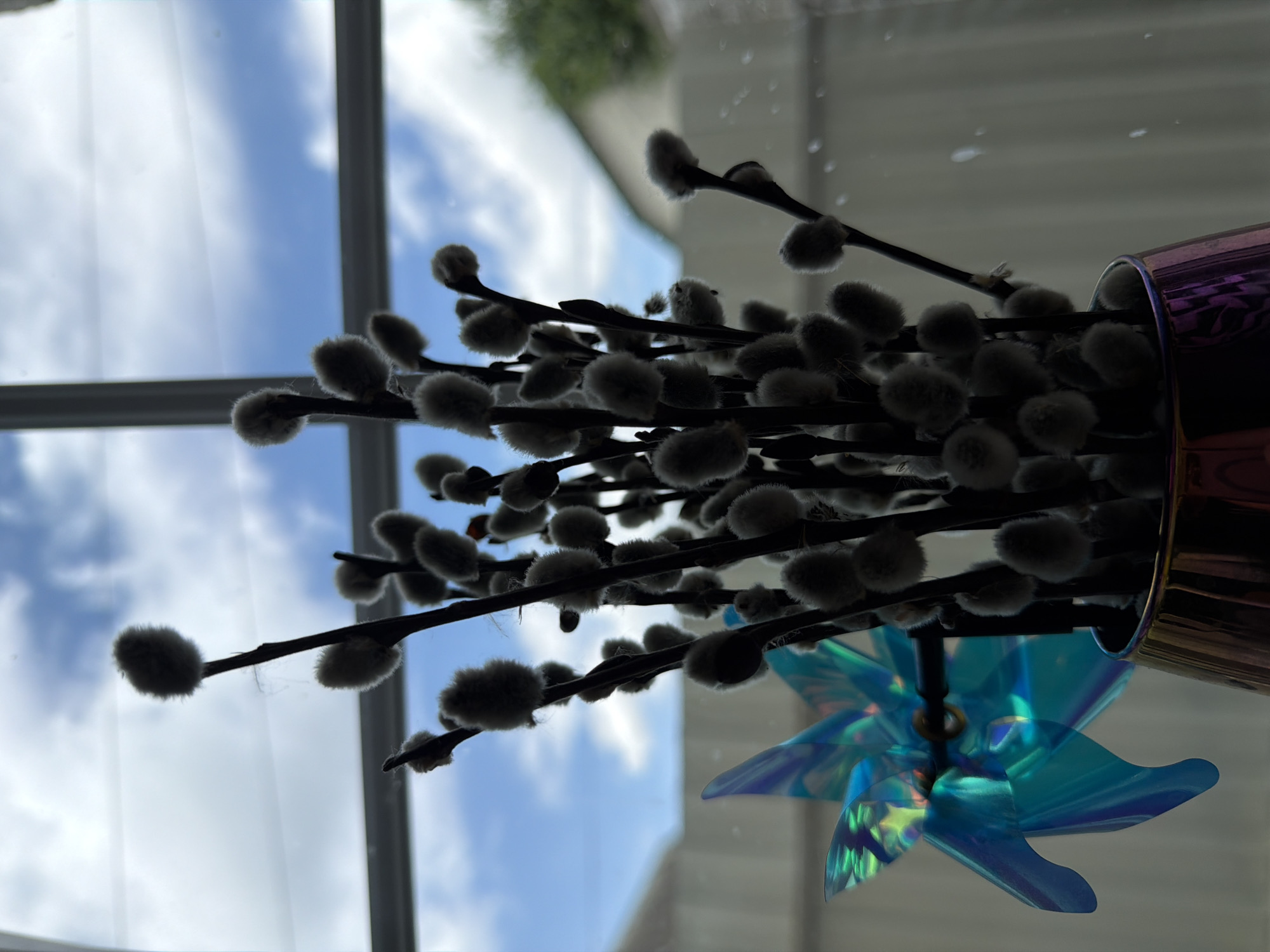 A bouquet of pussy willow branches, with their characteristic fluffy catkins, is arranged in a shimmering, iridescent vase. The vase, reflecting hints of purple and gold, is positioned near a window. Outside the window, a bright blue sky with scattered white clouds is visible, suggesting daylight. The lighting indicates it's likely daytime, with the sun possibly positioned behind the viewer, casting the branches in silhouette against the bright sky. A small, translucent blue pinwheel is also visible in the foreground, positioned in front of the vase and branches, its blades catching the light. The overall scene is peaceful and decorative, possibly set indoors near a window. The presence of pussy willows can suggest a spring season. No people are visible in the image. There is no visible text. The location context is Bila Tserkva, Ukraine.