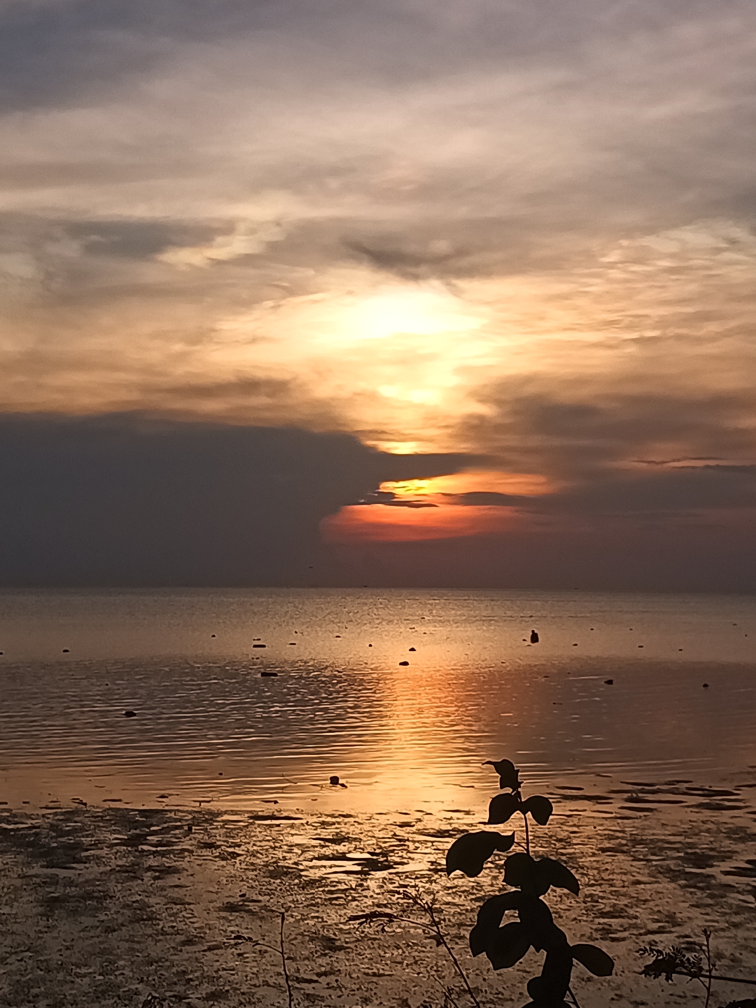 The image depicts a sunset over water, likely a coastal scene near Baan Sri Thanu, Thailand. The sky is filled with clouds, ranging in color from dark gray to golden yellow and orange near the setting sun. The sun is partially obscured by the clouds, creating a bright glow. The water reflects the colors of the sky, with a prominent golden path leading towards the horizon.
In the foreground, the ground is visible, appearing to be a mixture of sand and possibly tidal flats. Silhouetted plant life is visible in the lower right corner. The horizon is relatively flat, with a few distant objects appearing as small dark shapes on the water. There are no clearly identifiable people visible in the frame. The overall mood is tranquil and serene.