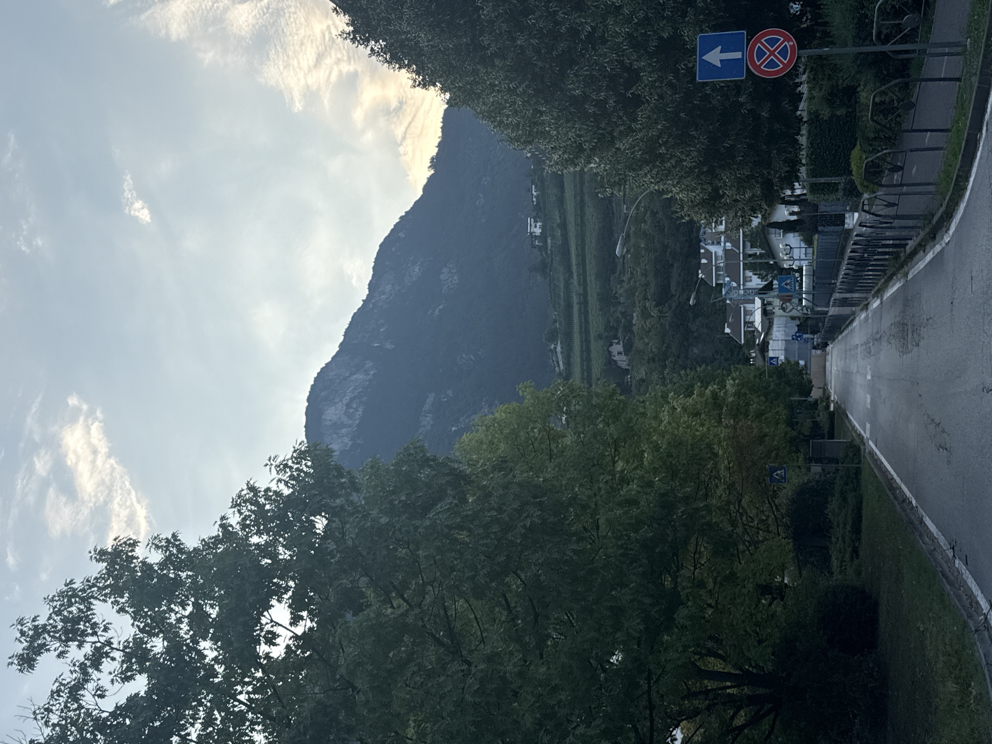 The image depicts a street scene in Trento, Italy, with a road leading towards a mountainous backdrop. Lush green trees frame the road on both sides, with the foliage of a large tree dominating the left foreground and a similar tree on the right. The road surface is asphalt, showing signs of wear with visible cracks. To the right of the road, there is a black metal fence with decorative elements, and beyond that, a sidewalk and more greenery. A prominent blue traffic sign with a white arrow pointing upwards is positioned on a pole, accompanied by a red and blue circular sign with a diagonal red cross, indicating a no stopping or parking zone. In the mid-ground, several white buildings with dark roofs are nestled on a hillside dotted with vineyards, characteristic of the Trentino region's agricultural landscape. The background is dominated by a large, imposing mountain range, its slopes covered in a mix of dark vegetation and rocky outcrops. The sky above is a soft blue, with wispy clouds, suggesting it might be late afternoon or early morning. The overall impression is one of a scenic, semi-urban environment integrated with the natural landscape.