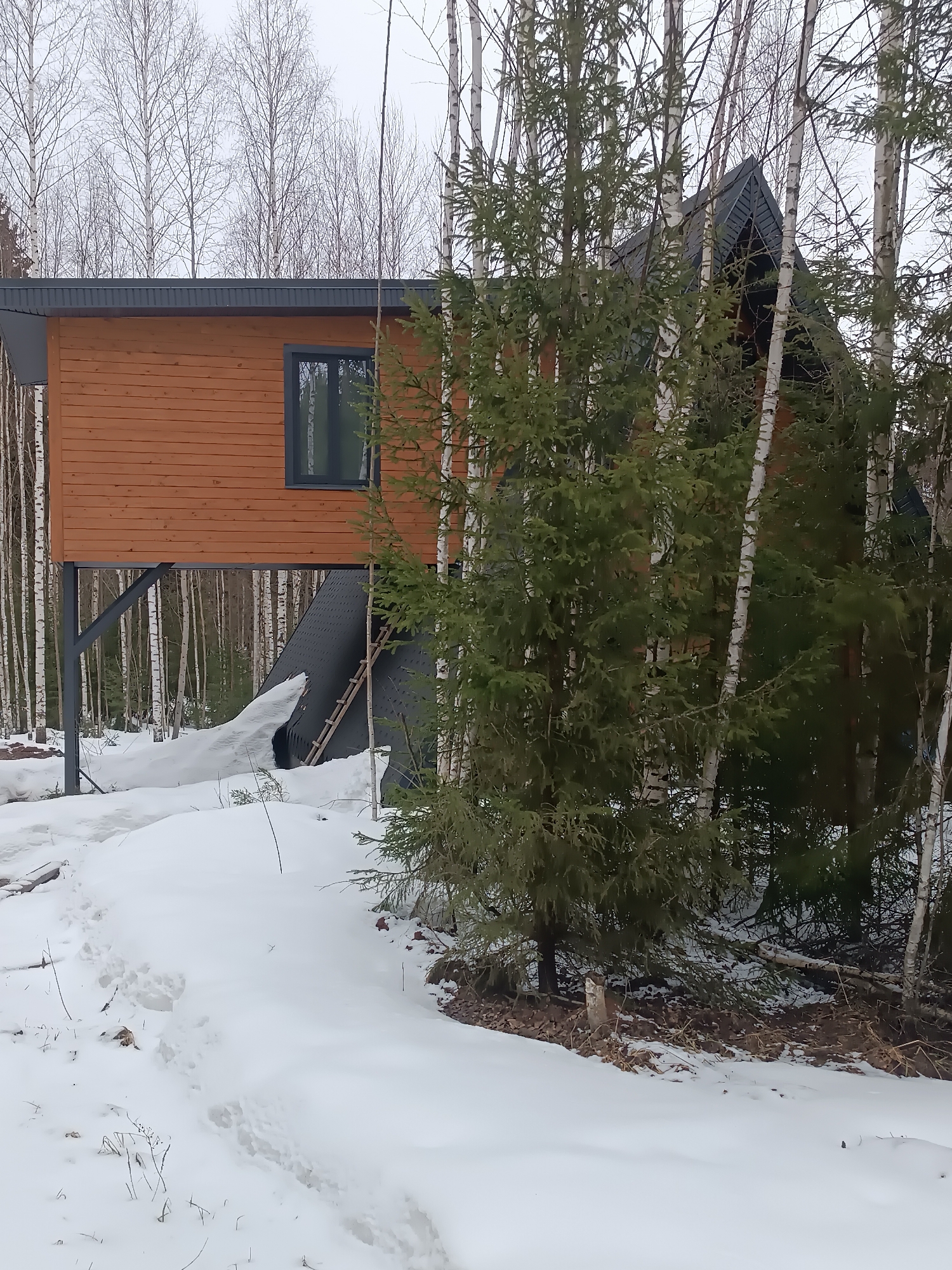 The image shows a two-story structure in Sepych, Russia. The upper portion is a wooden box-like structure with a single window, supported by metal beams. Below, a dark-colored conical structure rests on the ground. The ground is covered in snow. Birch trees and evergreen trees surround the structure. A faint path of footprints is visible in the snow leading towards the structure. The sky appears overcast. A wooden ladder is visible against the dark-colored conical structure.
